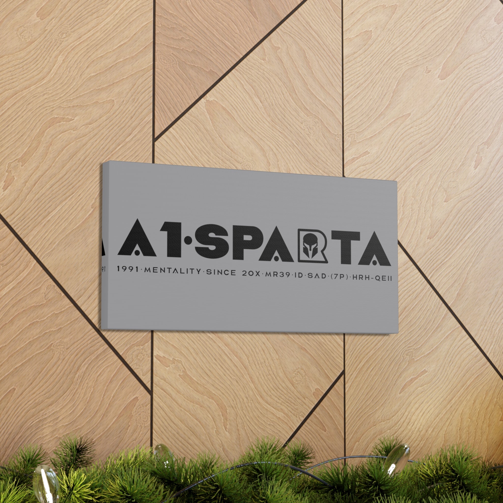 Canvas Gallery Wraps (A1•SPARTA RANGE)