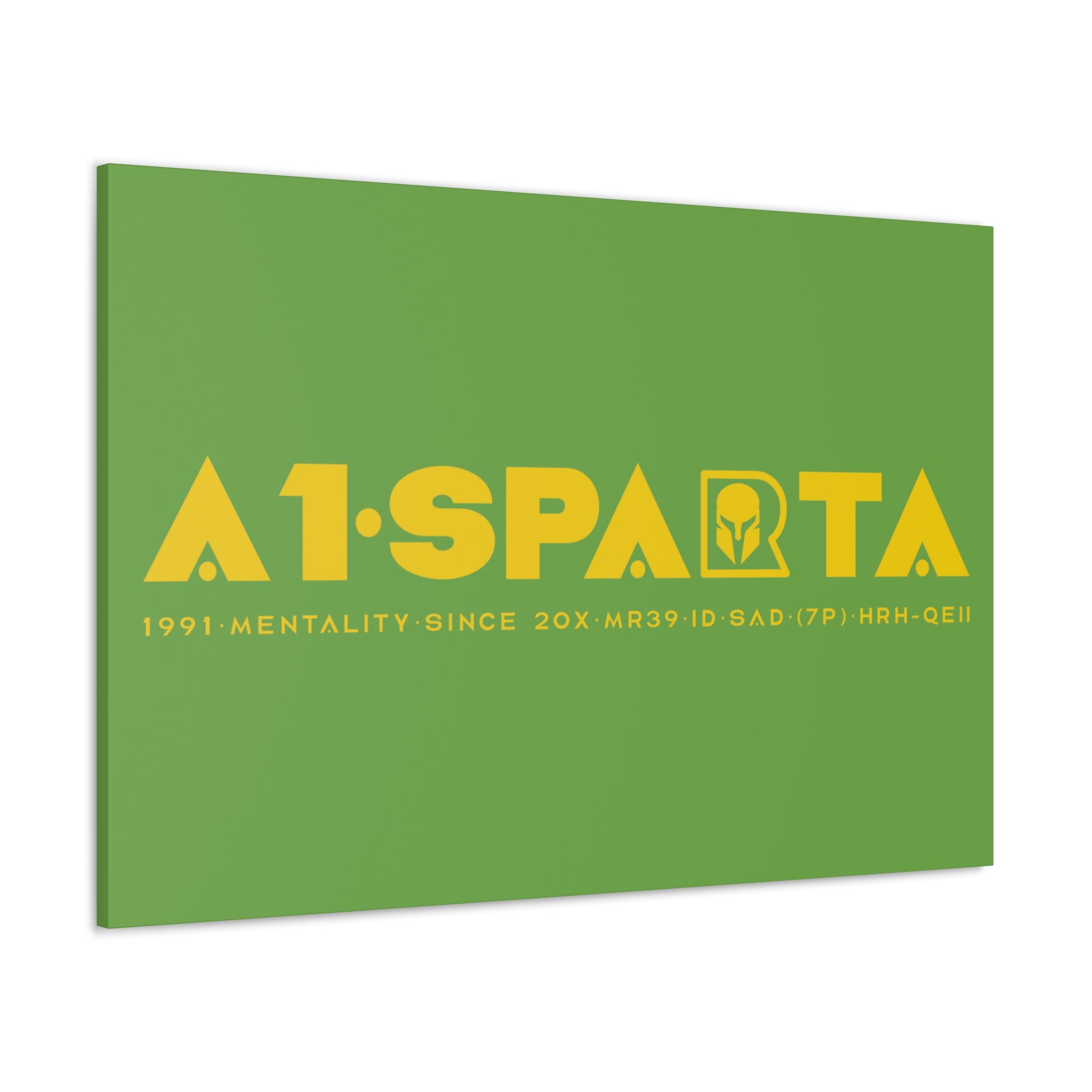 Canvas Gallery Wraps (A1•SPARTA RANGE)