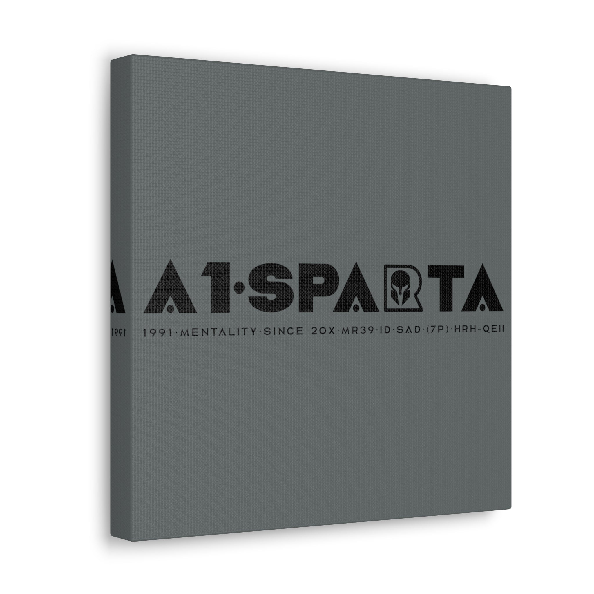 Canvas Gallery Wraps (A1•SPARTA RANGE)