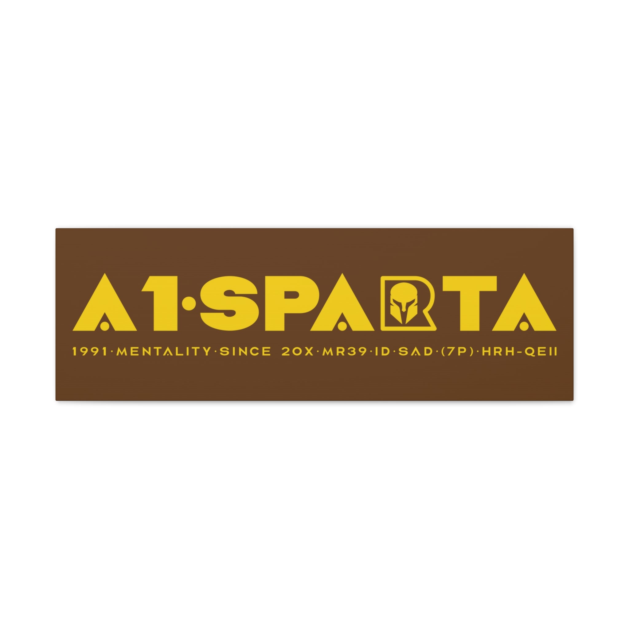 Canvas Gallery Wraps (A1•SPARTA RANGE)