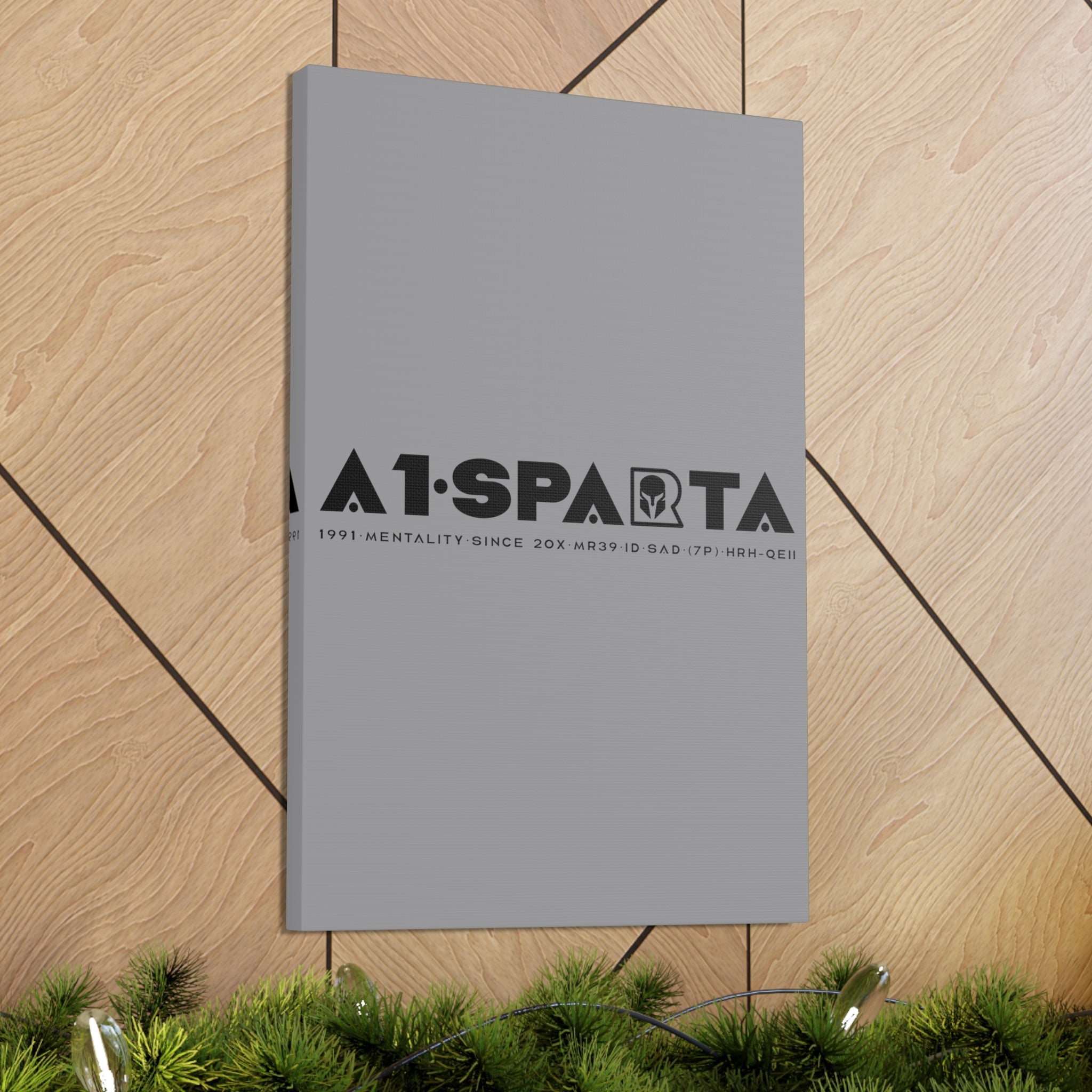 Canvas Gallery Wraps (A1•SPARTA RANGE)