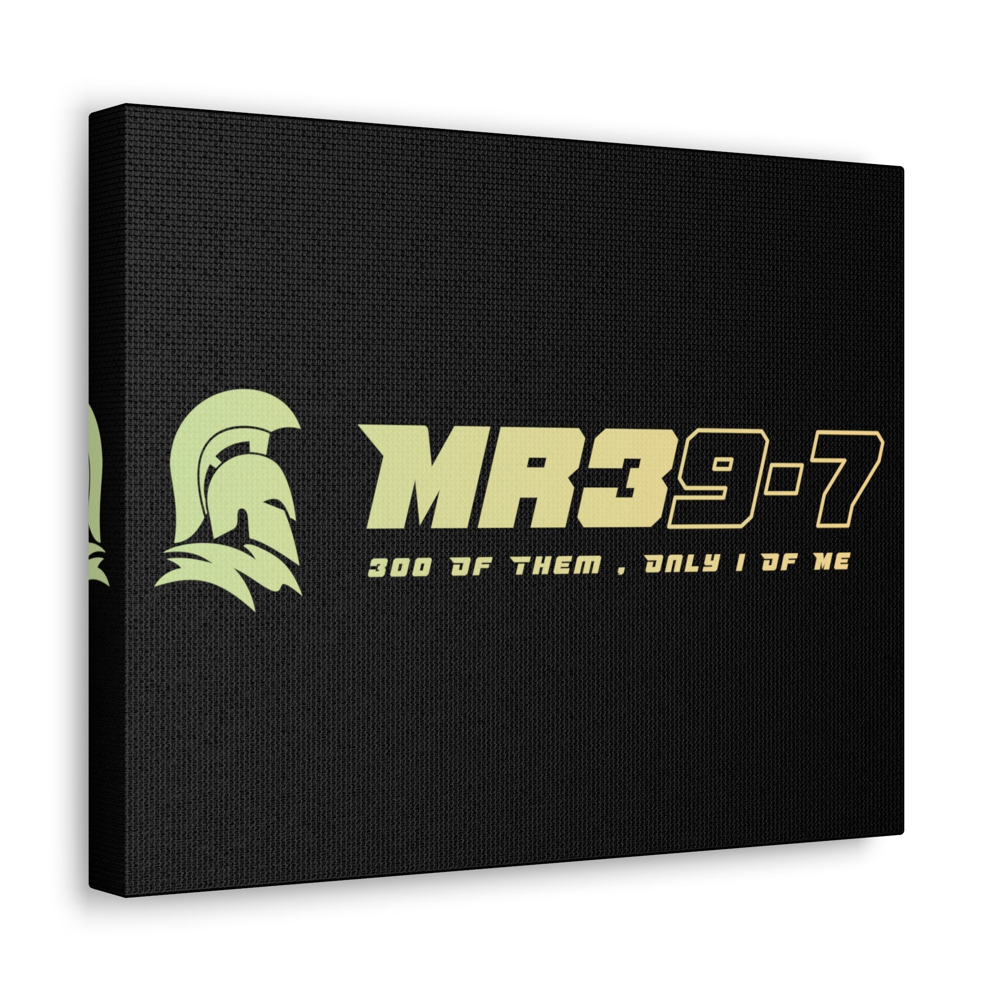 Canvas Gallery Wraps (A1•SPARTA RANGE)