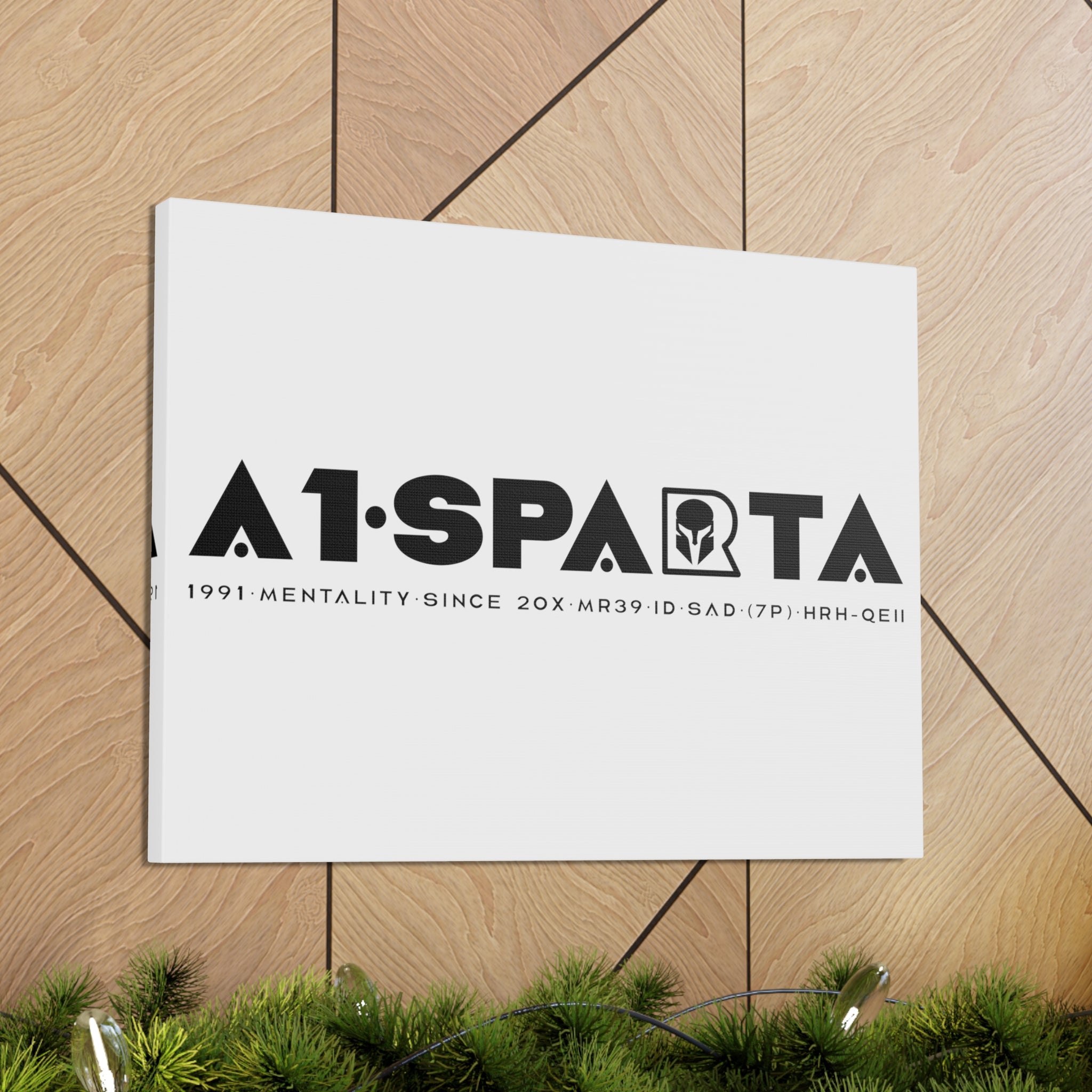 Canvas Gallery Wraps (A1•SPARTA RANGE)