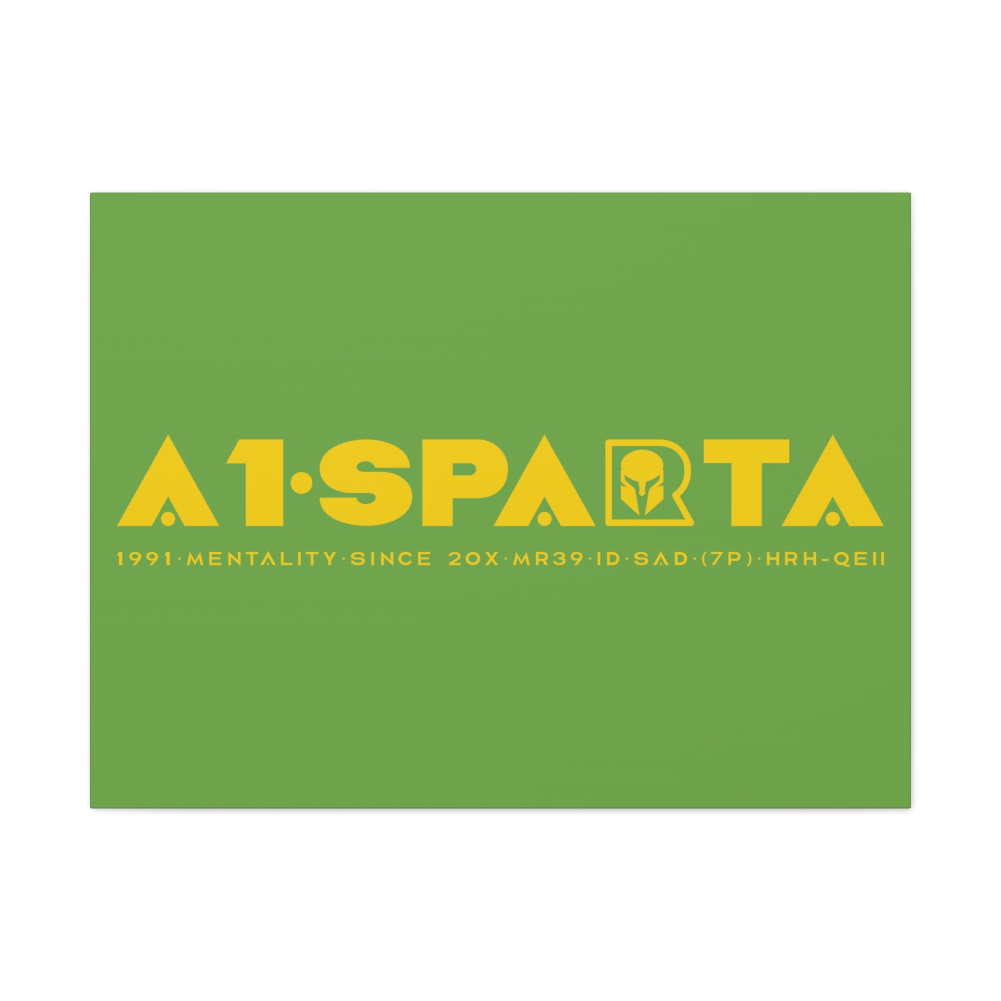 Canvas Gallery Wraps (A1•SPARTA RANGE)