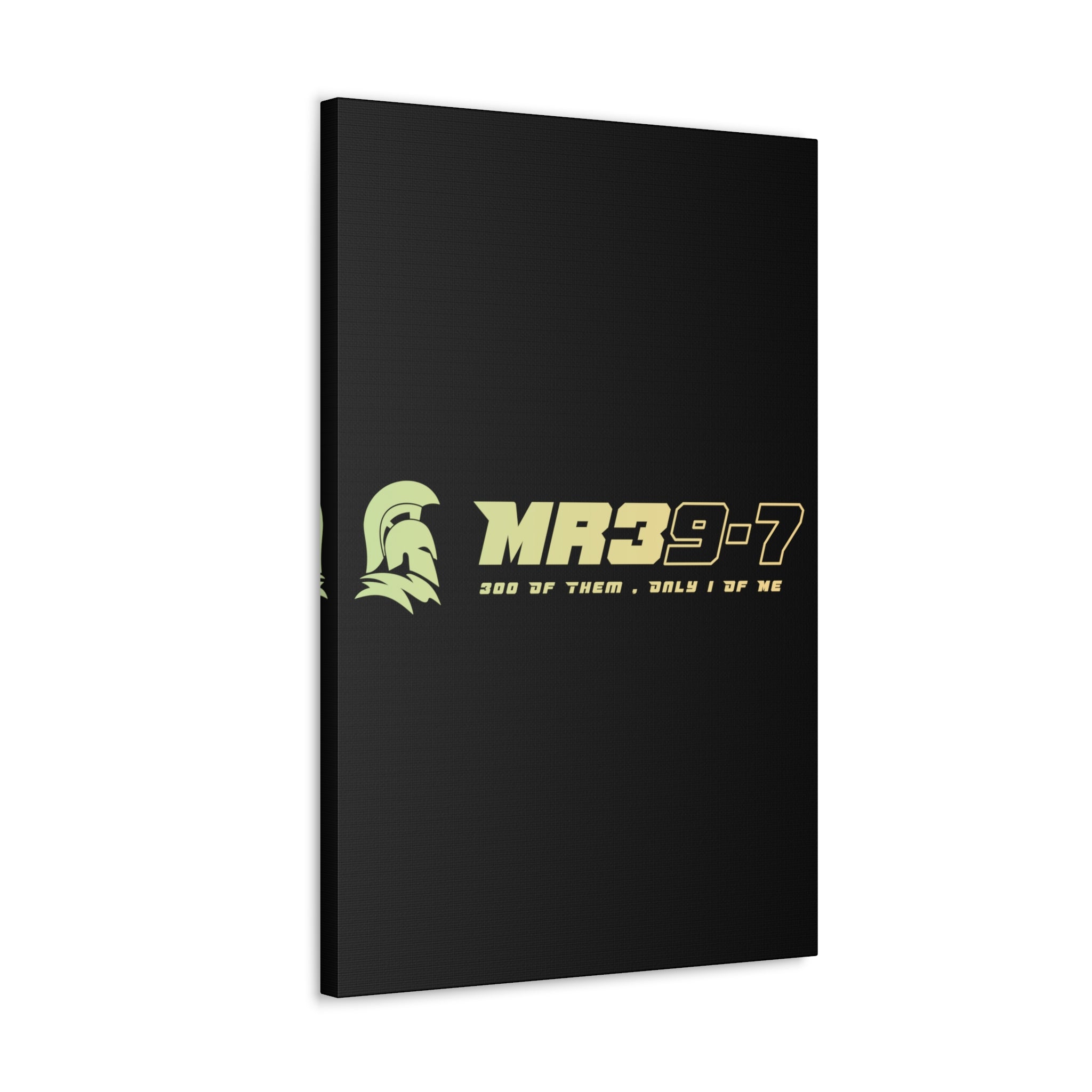 Canvas Gallery Wraps (A1•SPARTA RANGE)