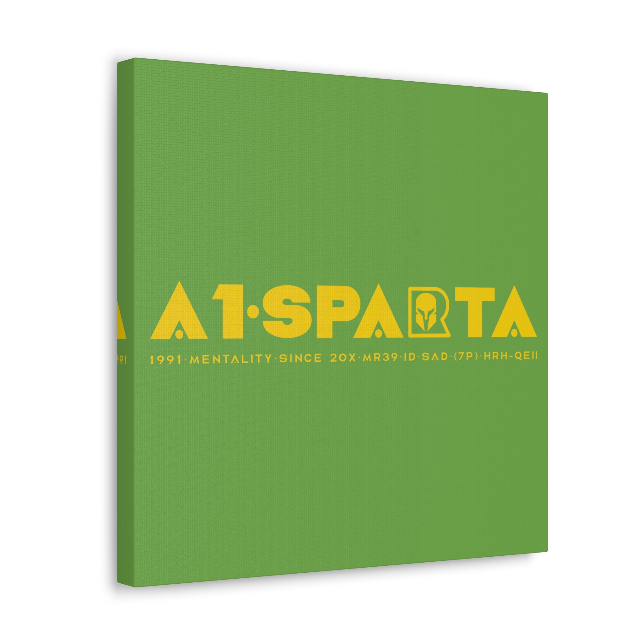 Canvas Gallery Wraps (A1•SPARTA RANGE)