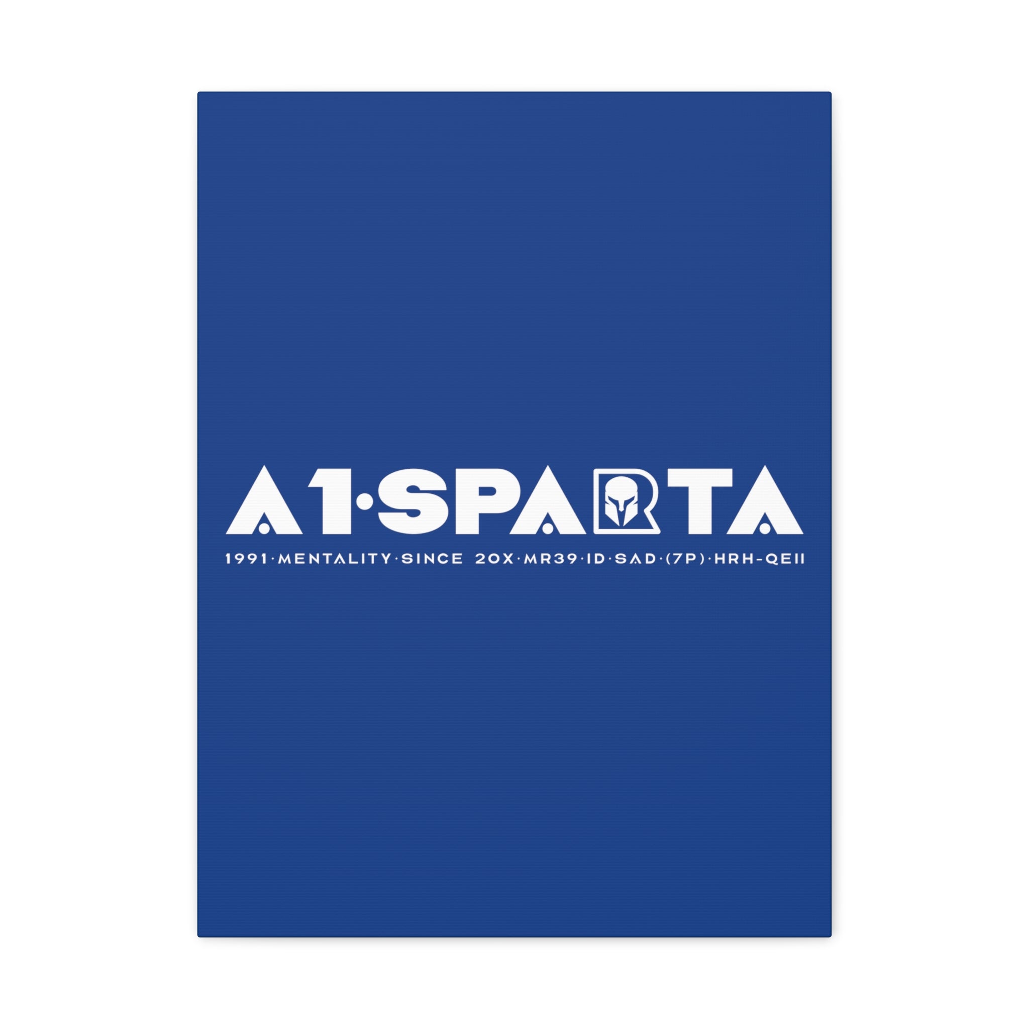 Canvas Gallery Wraps (A1•SPARTA RANGE)