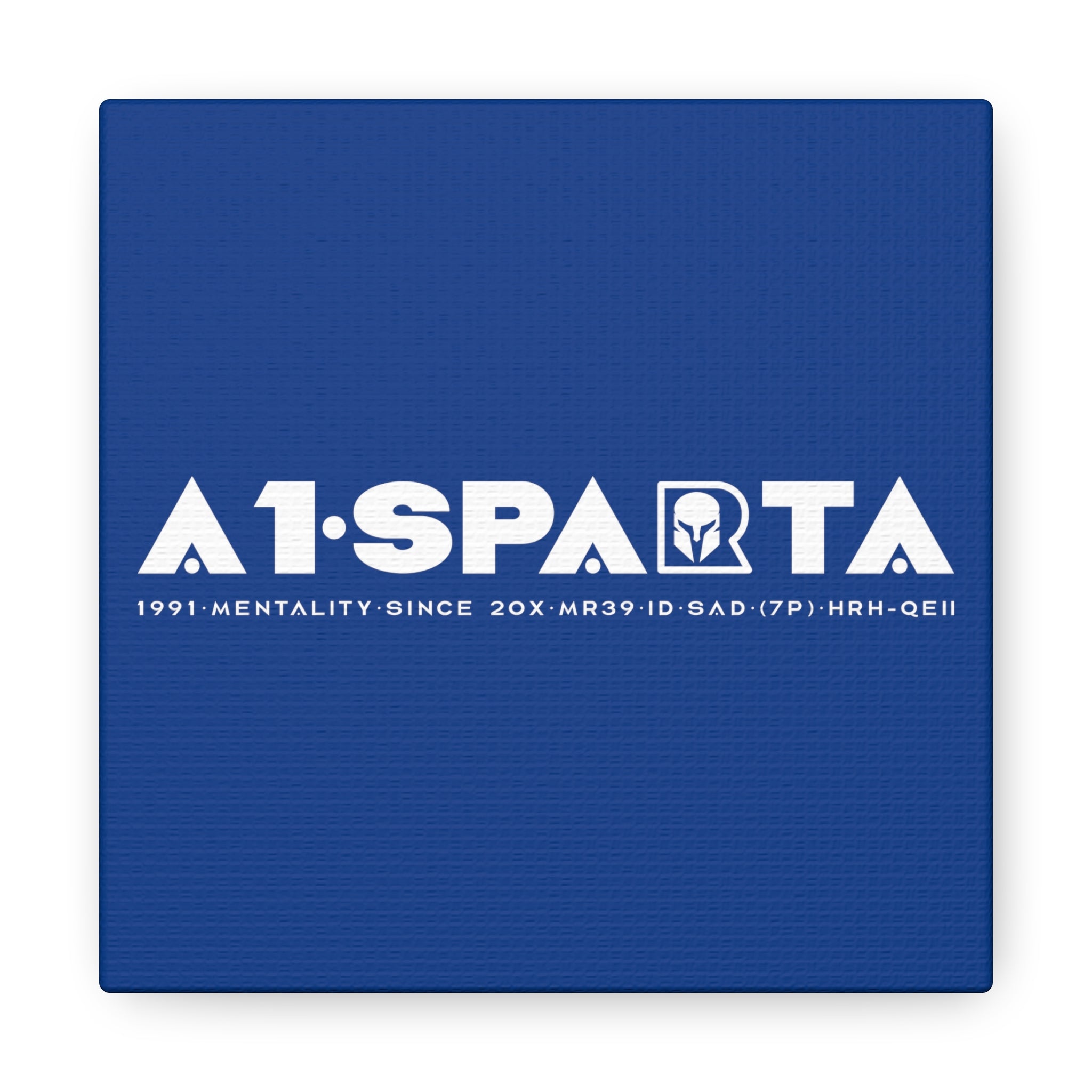 Canvas Gallery Wraps (A1•SPARTA RANGE)