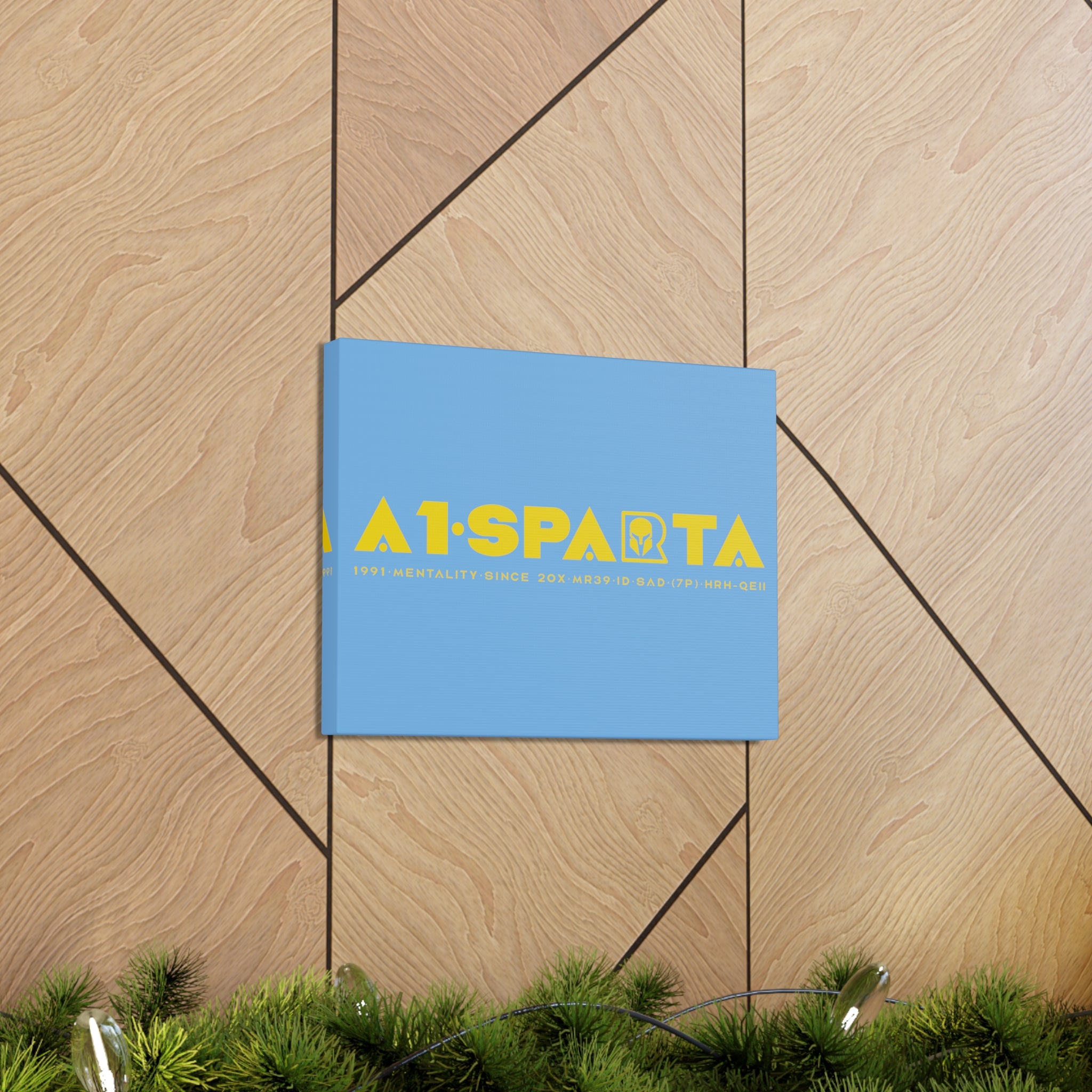 Canvas Gallery Wraps (A1•SPARTA RANGE)