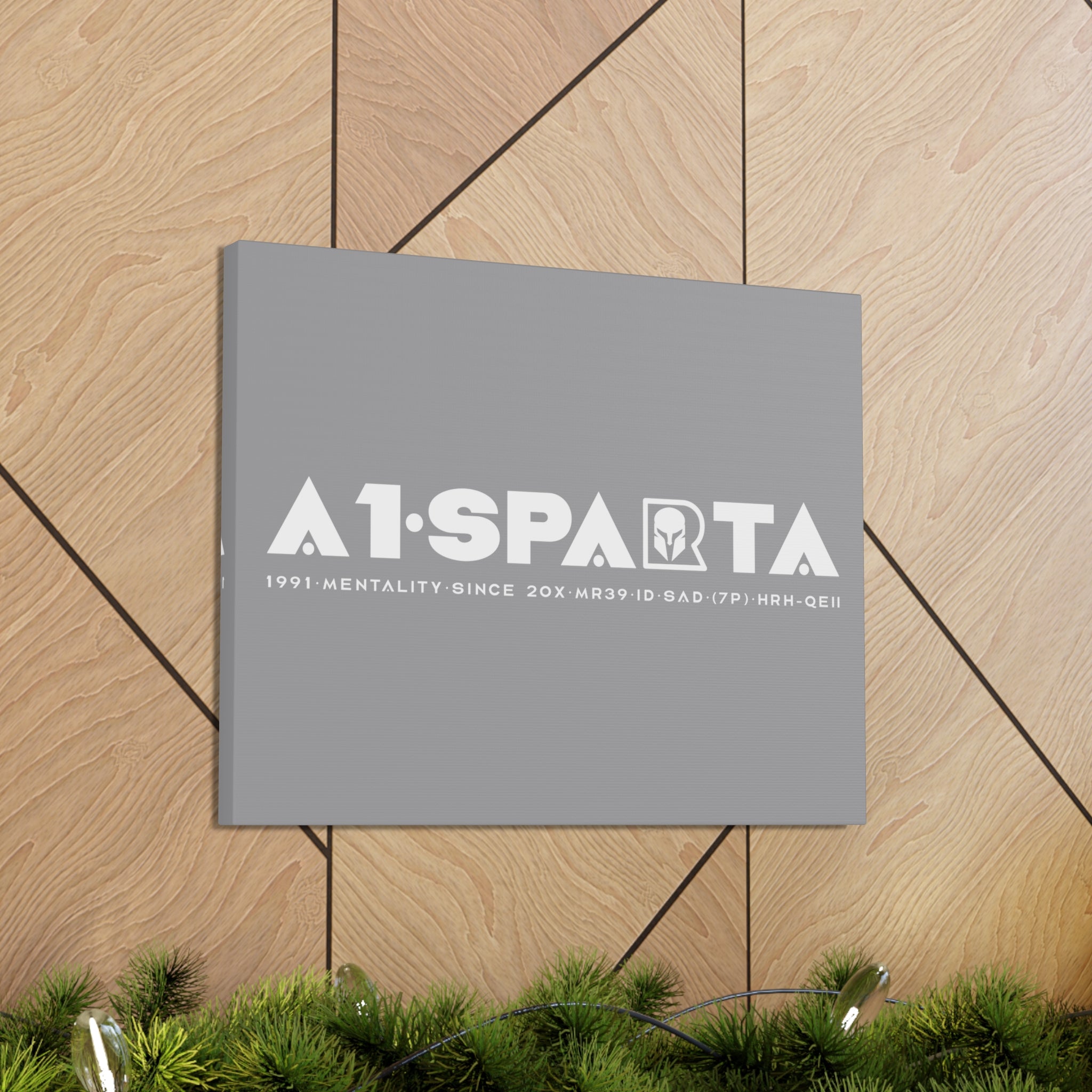 Canvas Gallery Wraps (A1•SPARTA RANGE)