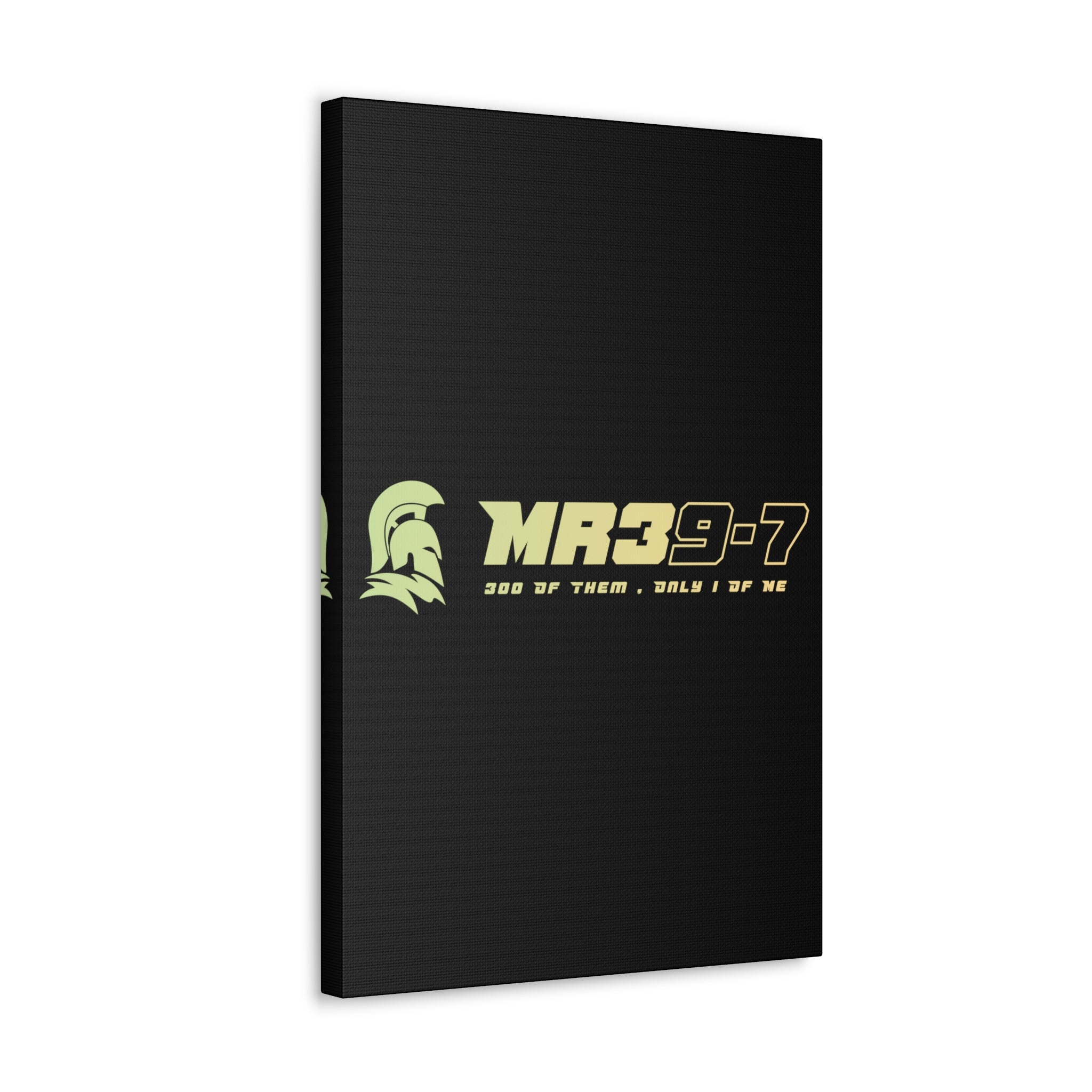 Canvas Gallery Wraps (A1•SPARTA RANGE)