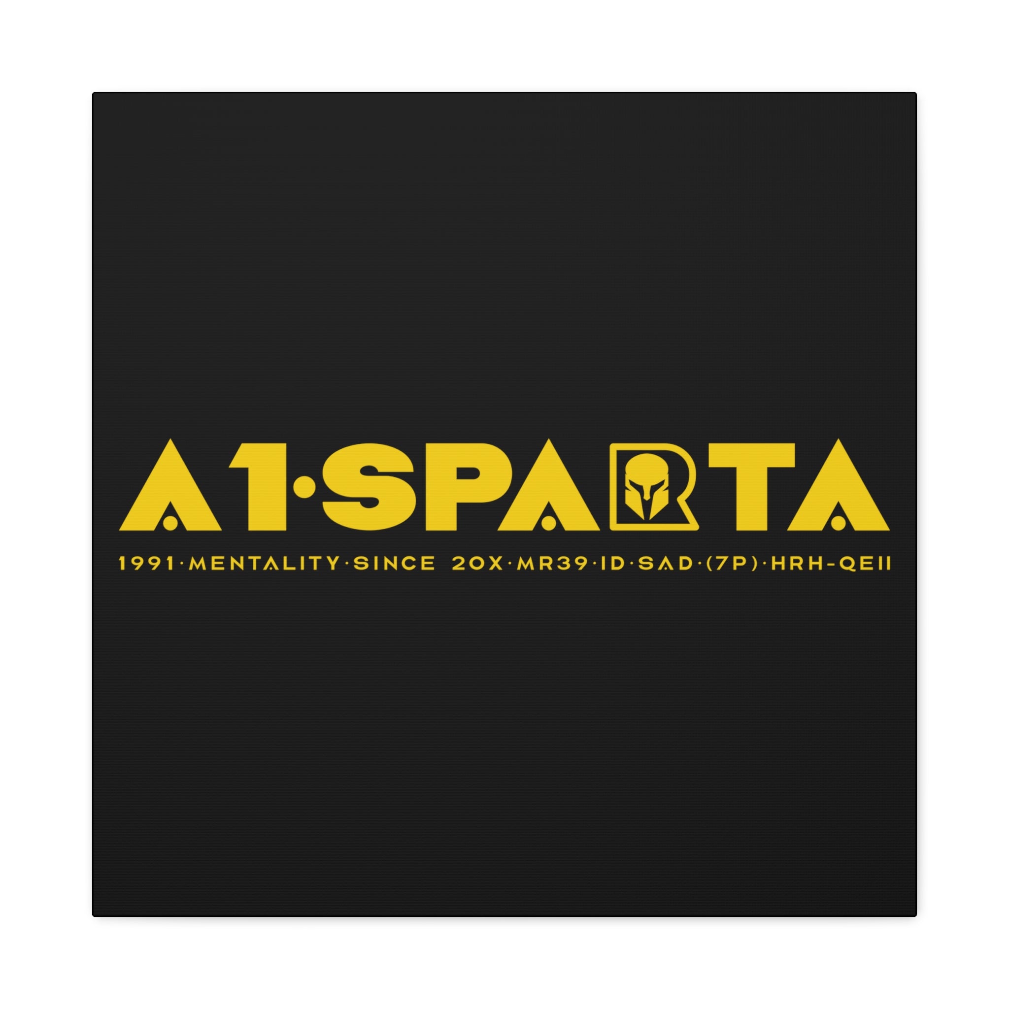 Canvas Gallery Wraps (A1•SPARTA RANGE)