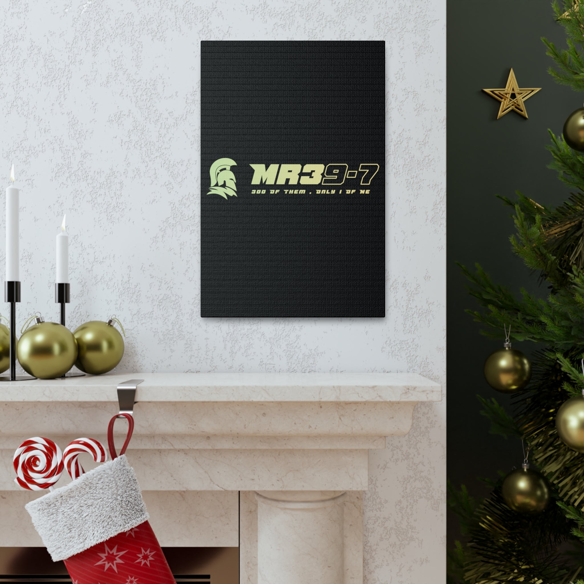 Canvas Gallery Wraps (A1•SPARTA RANGE)