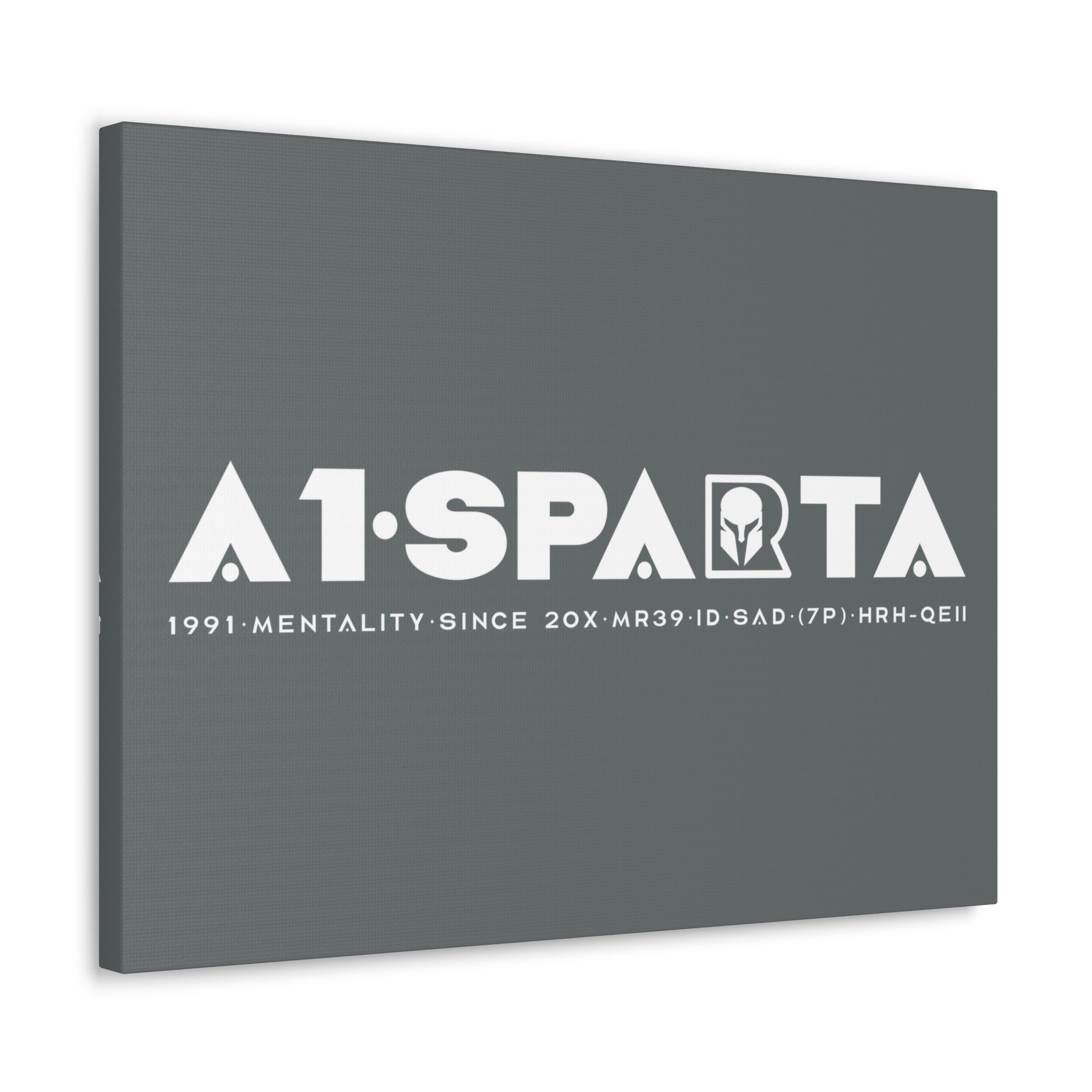 Canvas Gallery Wraps (A1•SPARTA RANGE)