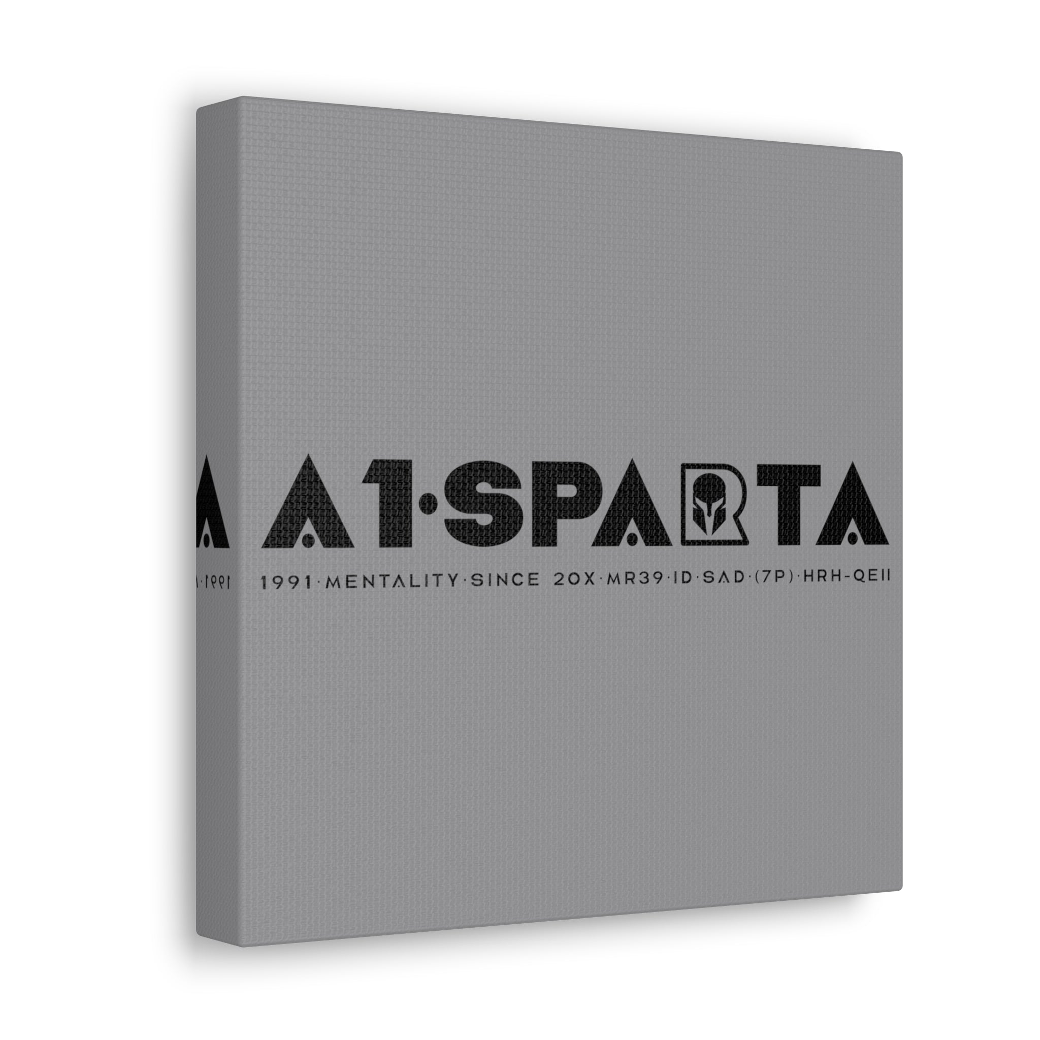 Canvas Gallery Wraps (A1•SPARTA RANGE)