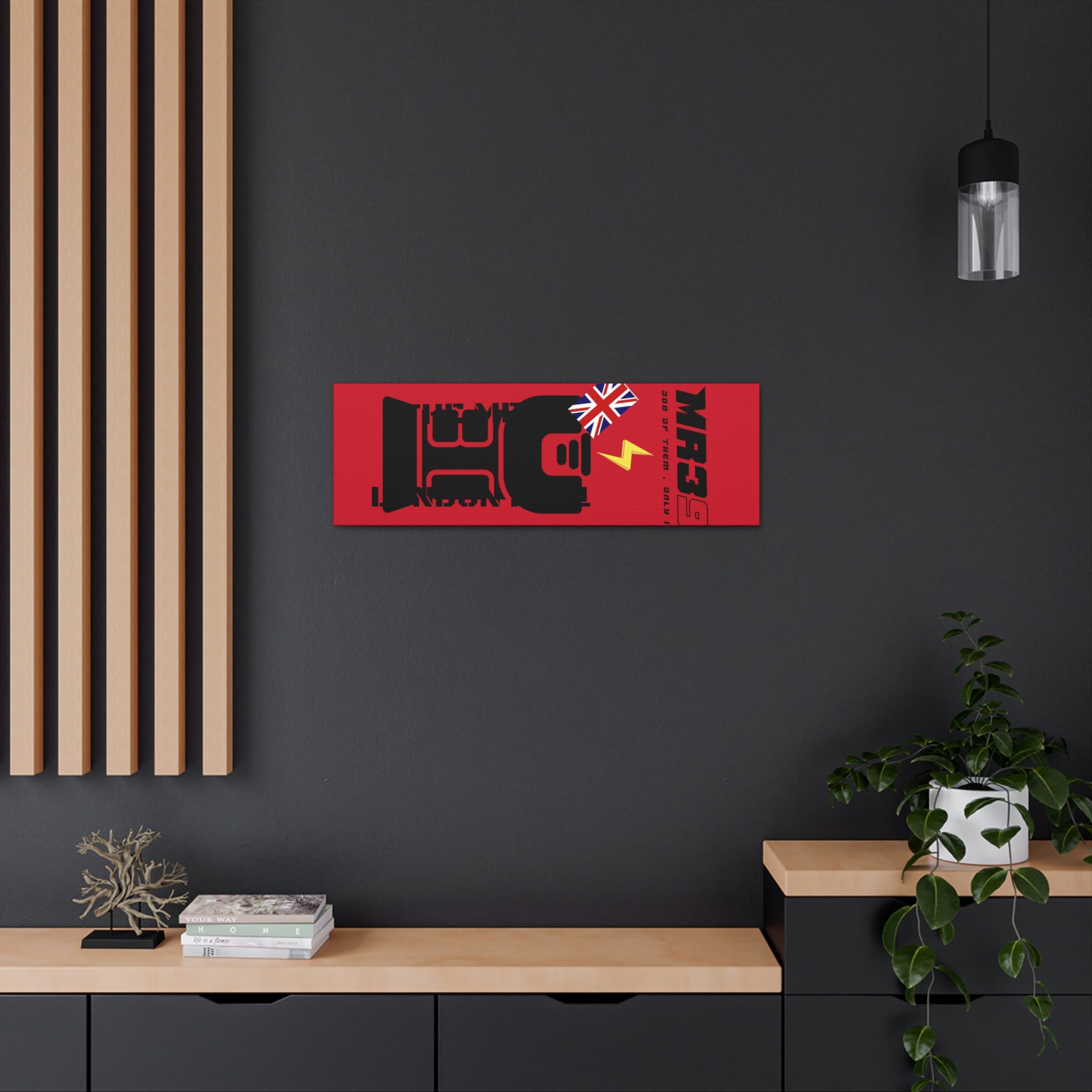 Canvas Gallery Wraps MR 39 Tasered by The MET 2021