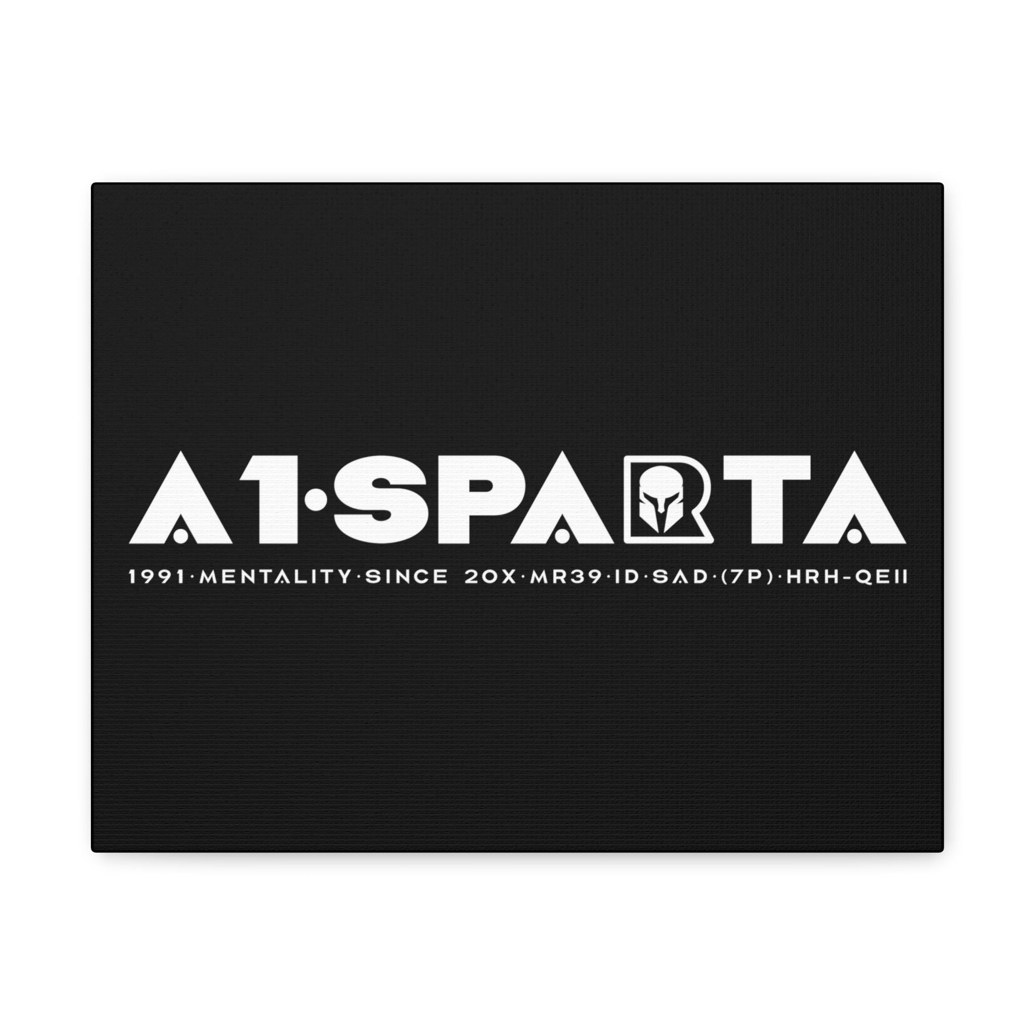 Canvas Gallery Wraps (A1•SPARTA RANGE)