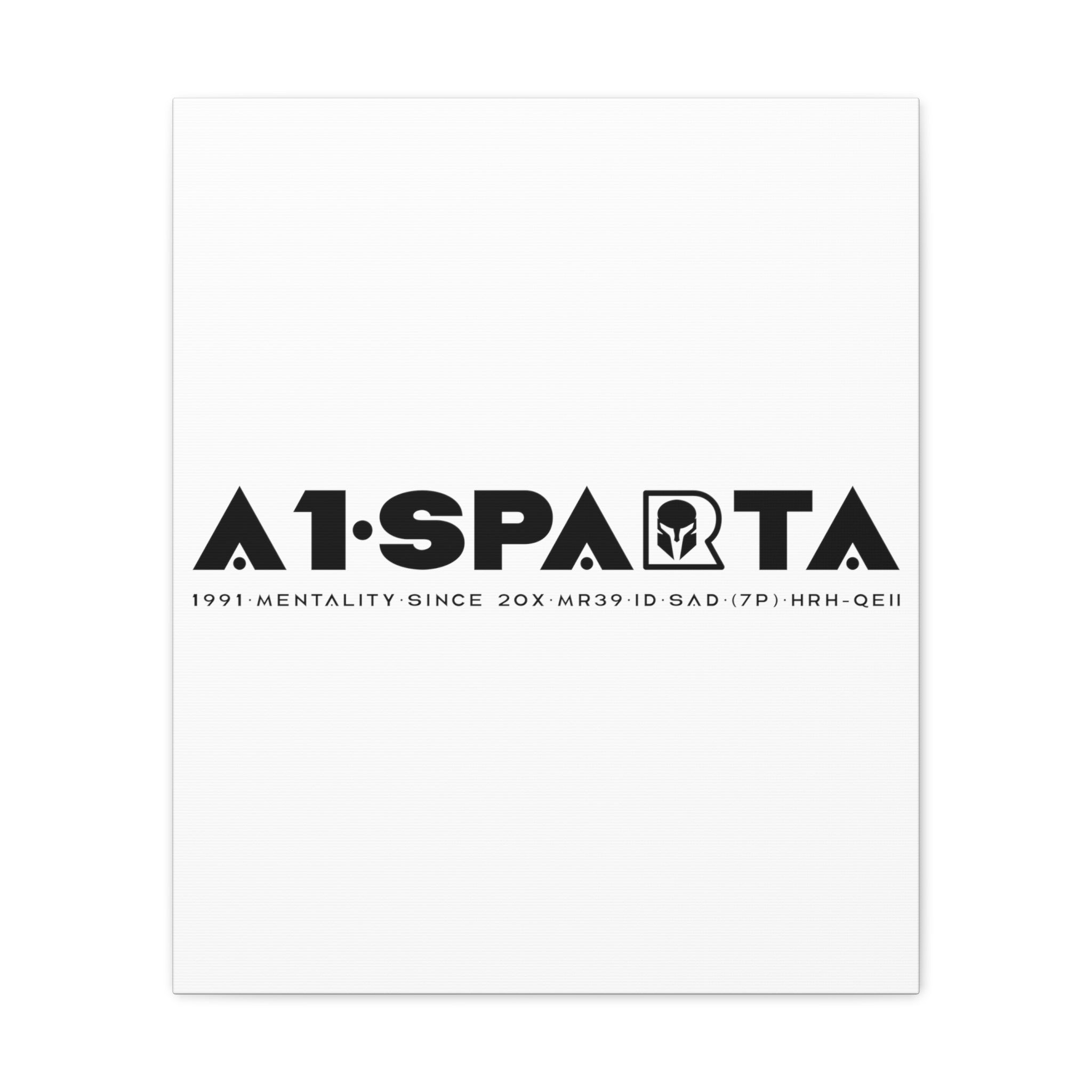 Canvas Gallery Wraps (A1•SPARTA RANGE)