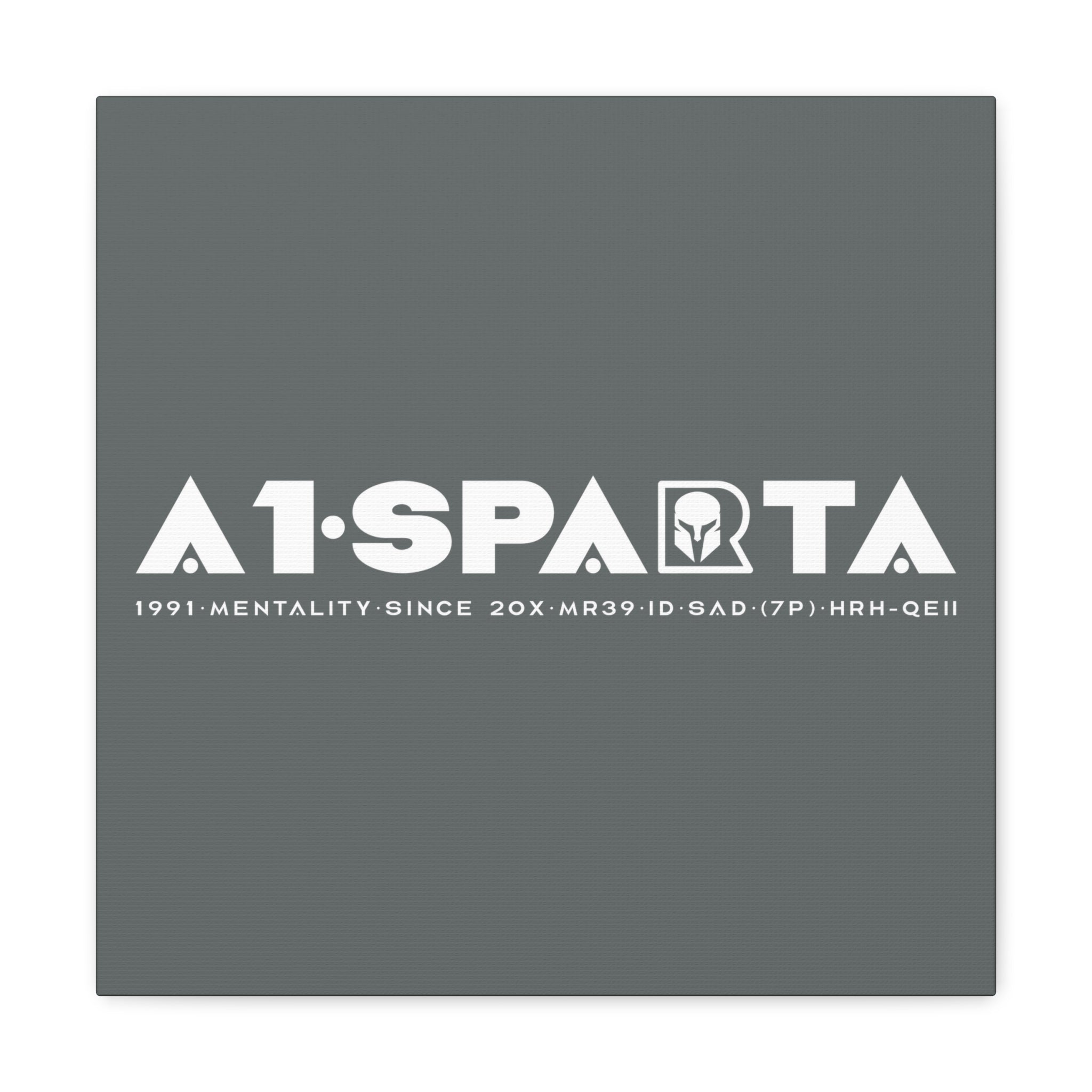 Canvas Gallery Wraps (A1•SPARTA RANGE)