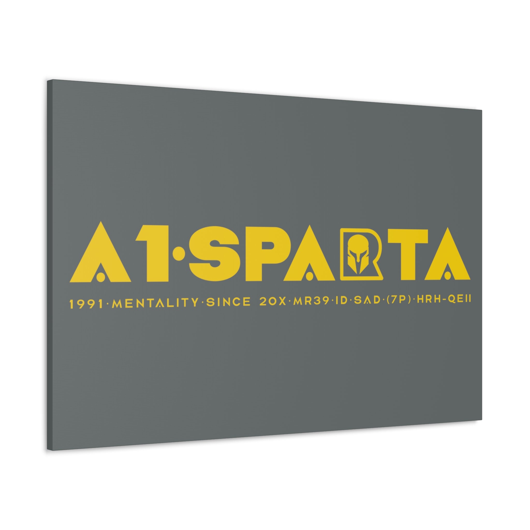 Canvas Gallery Wraps (A1•SPARTA RANGE)