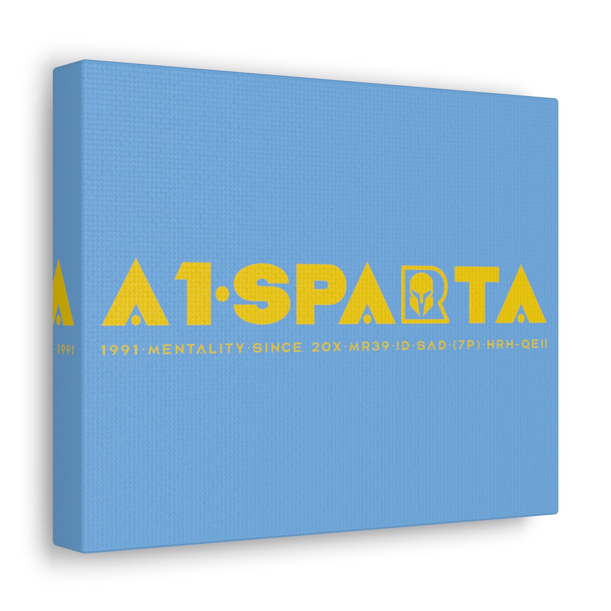 Canvas Gallery Wraps (A1•SPARTA RANGE)