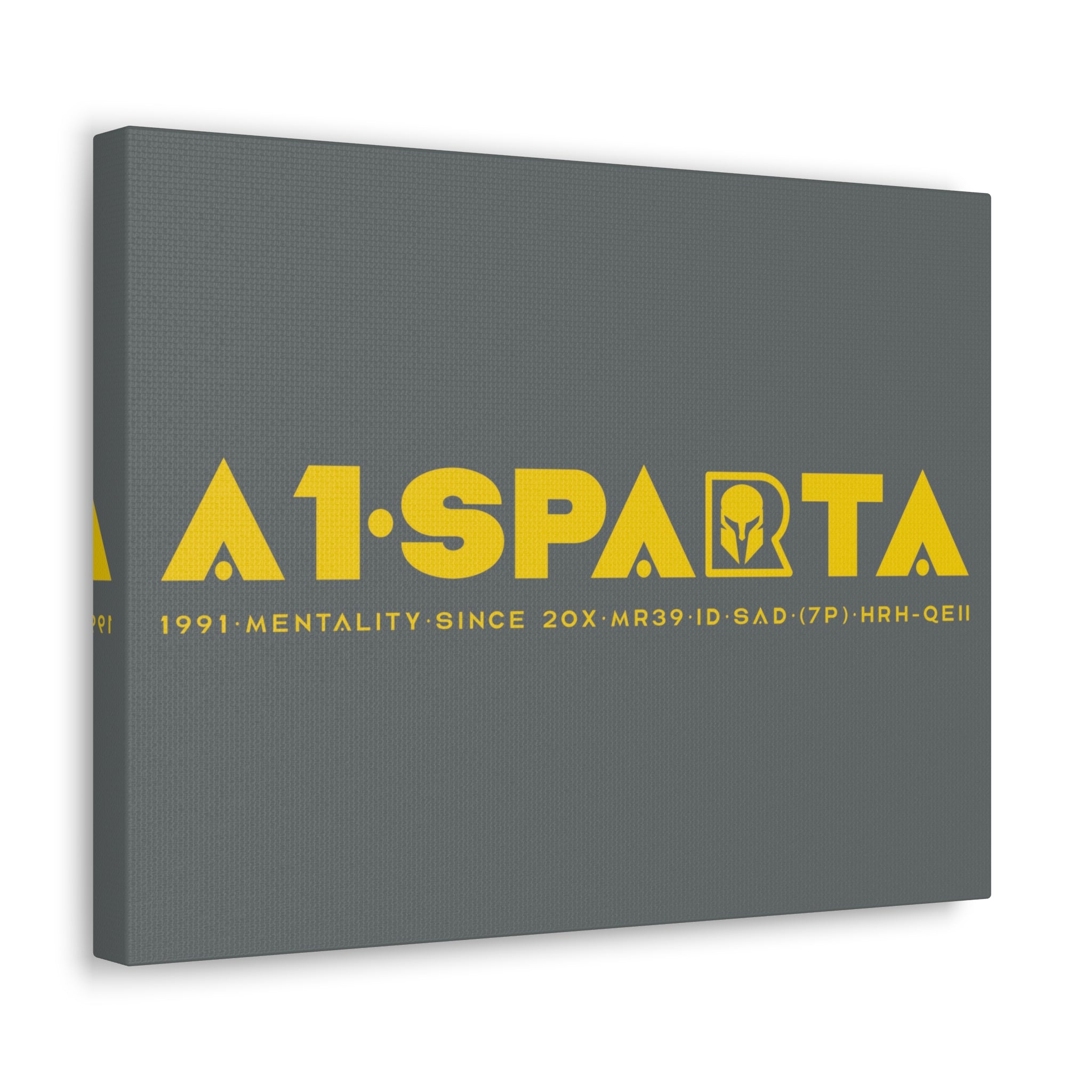Canvas Gallery Wraps (A1•SPARTA RANGE)