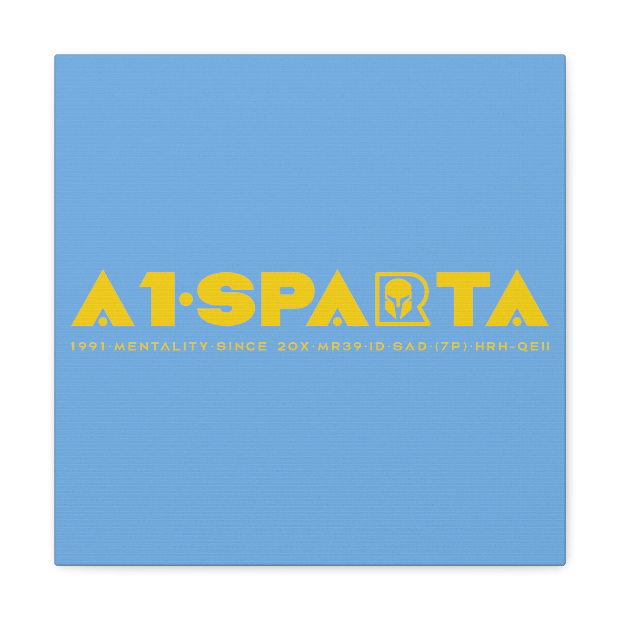 Canvas Gallery Wraps (A1•SPARTA RANGE)