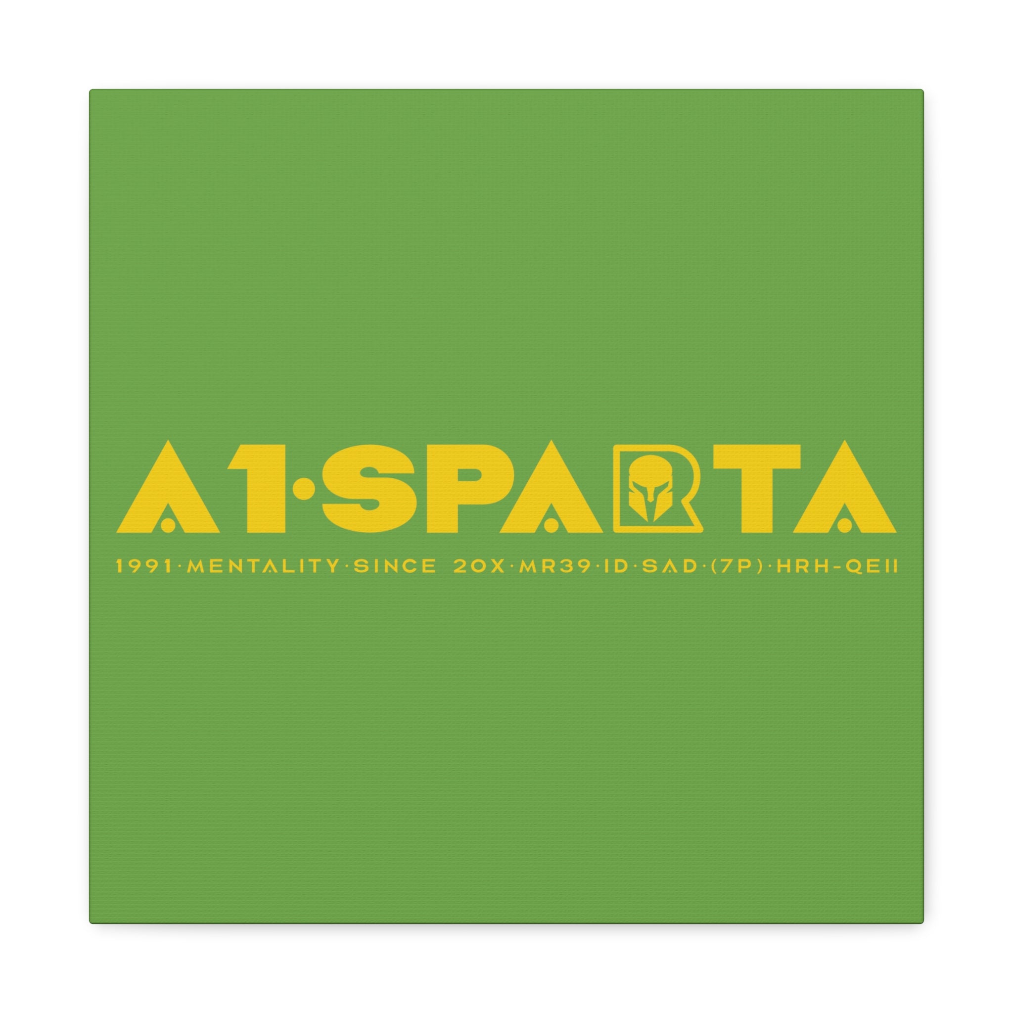 Canvas Gallery Wraps (A1•SPARTA RANGE)