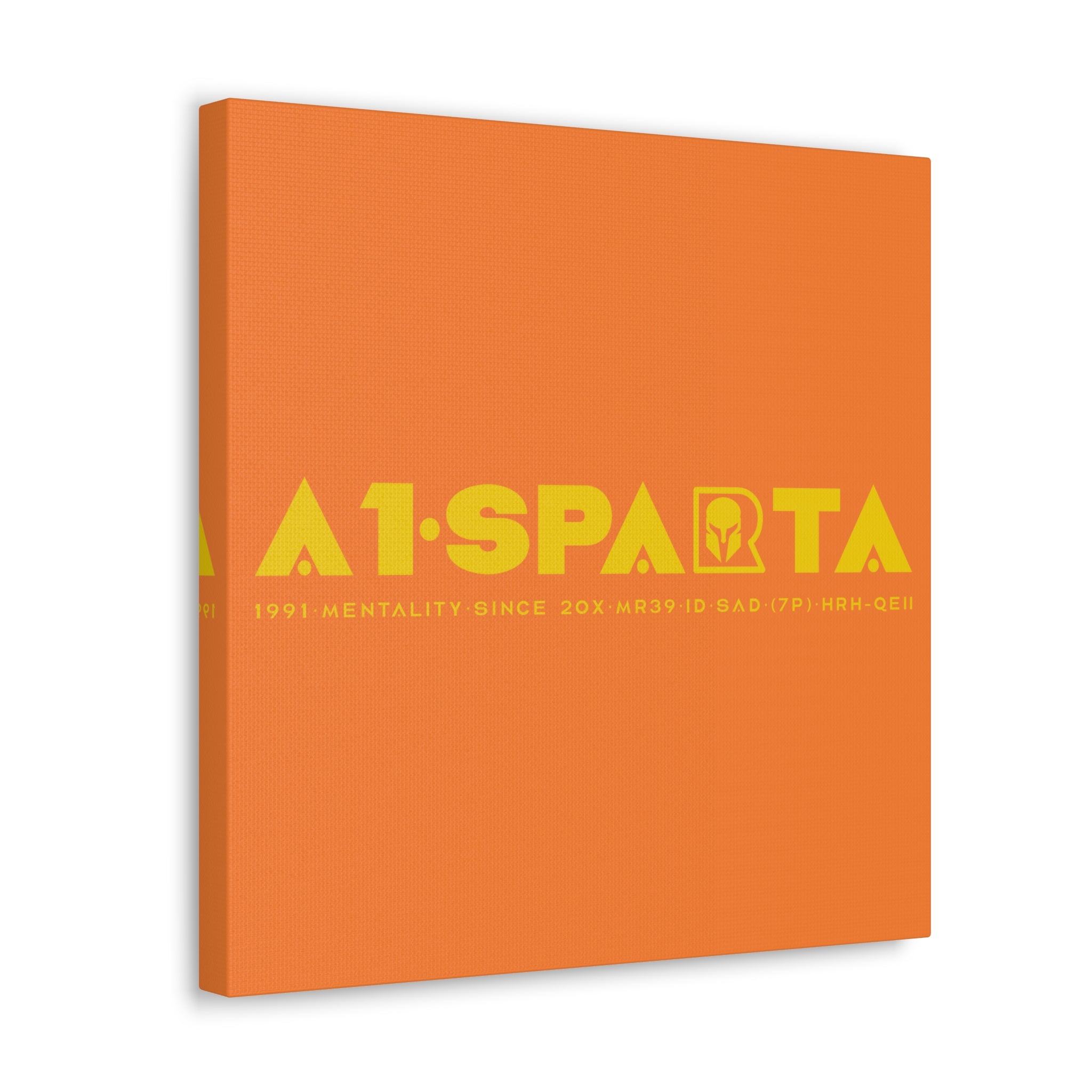 Canvas Gallery Wraps (A1•SPARTA RANGE)