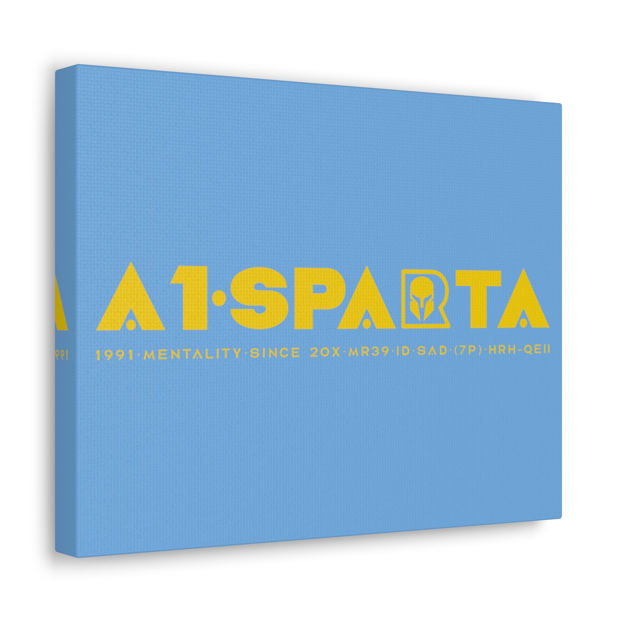 Canvas Gallery Wraps (A1•SPARTA RANGE)