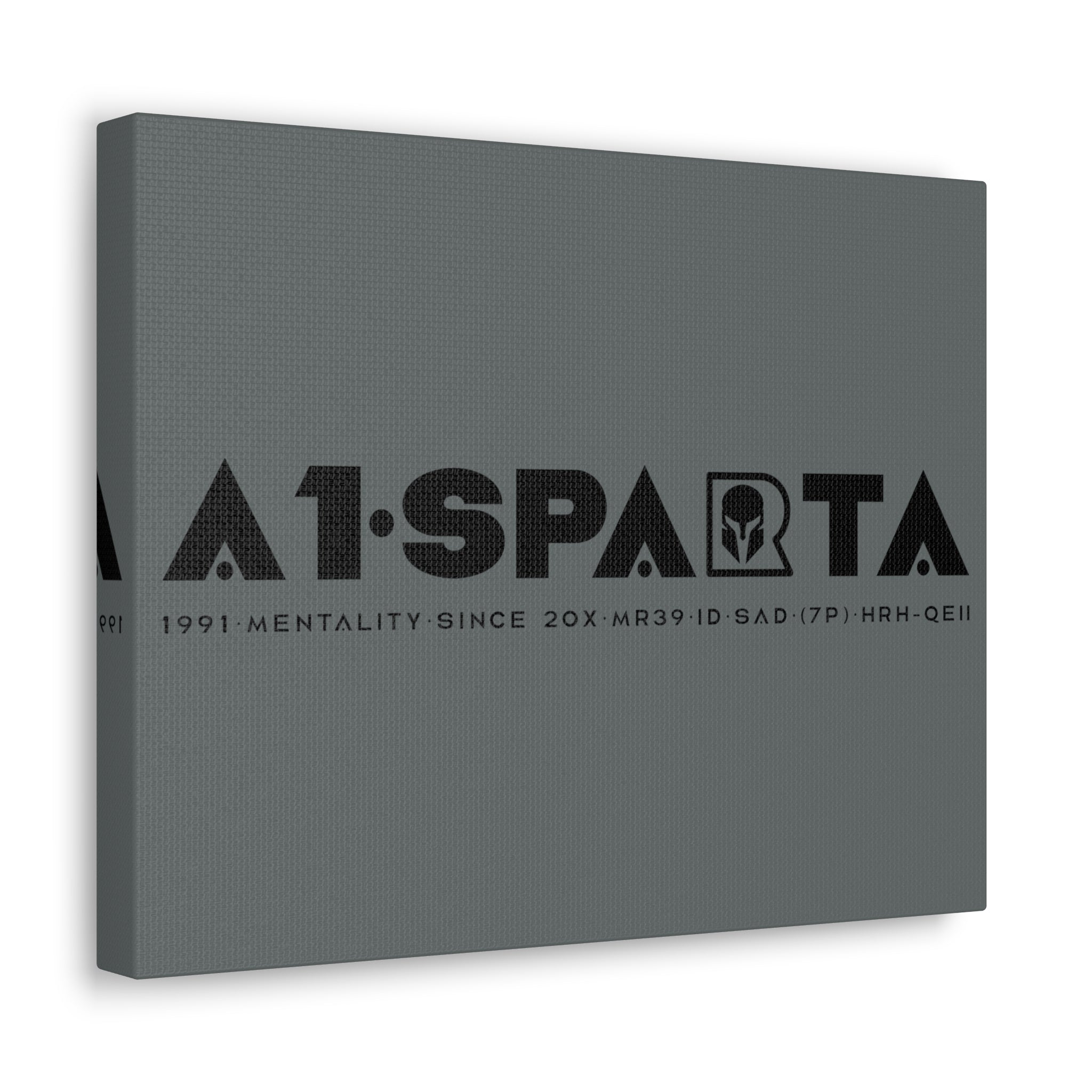 Canvas Gallery Wraps (A1•SPARTA RANGE)