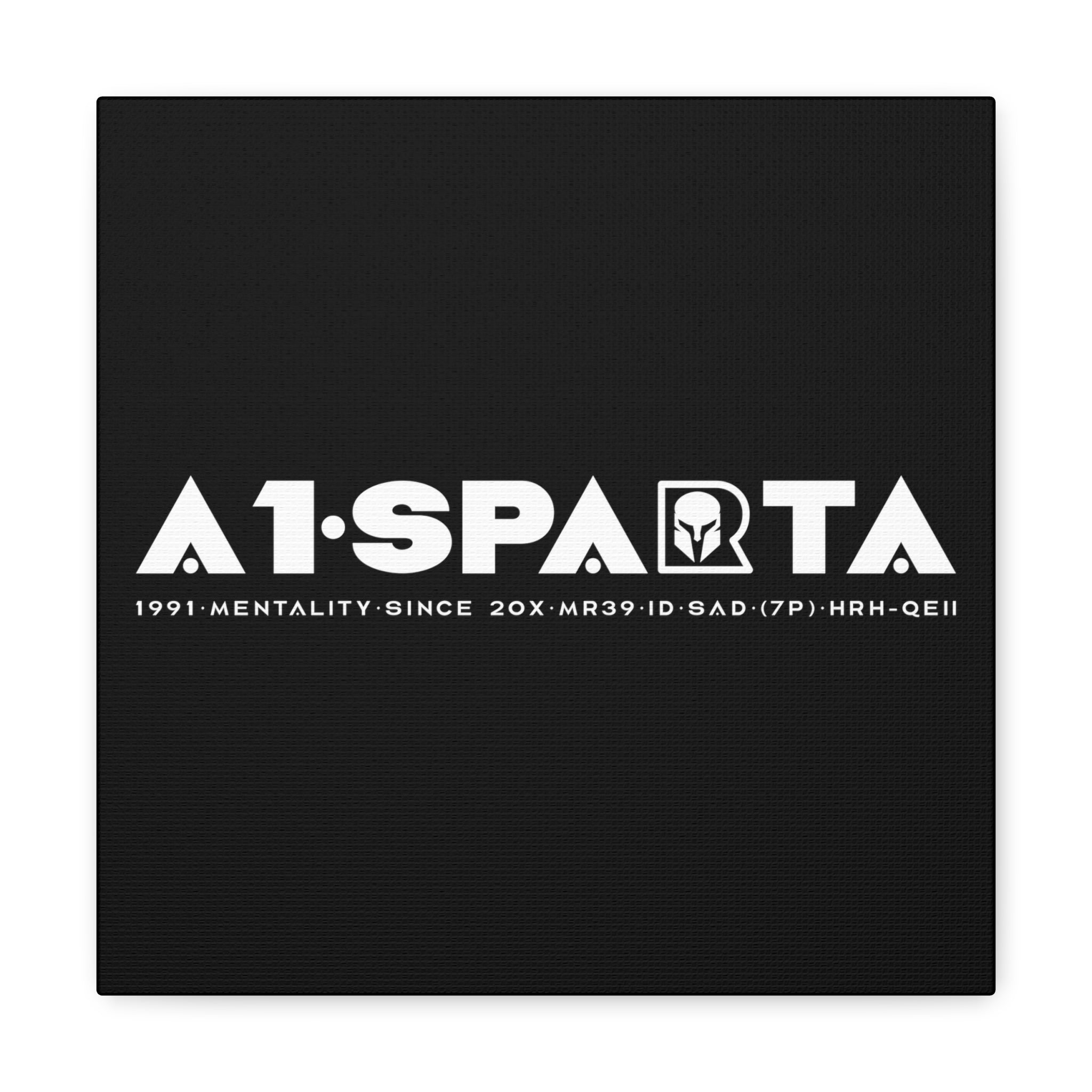 Canvas Gallery Wraps (A1•SPARTA RANGE)