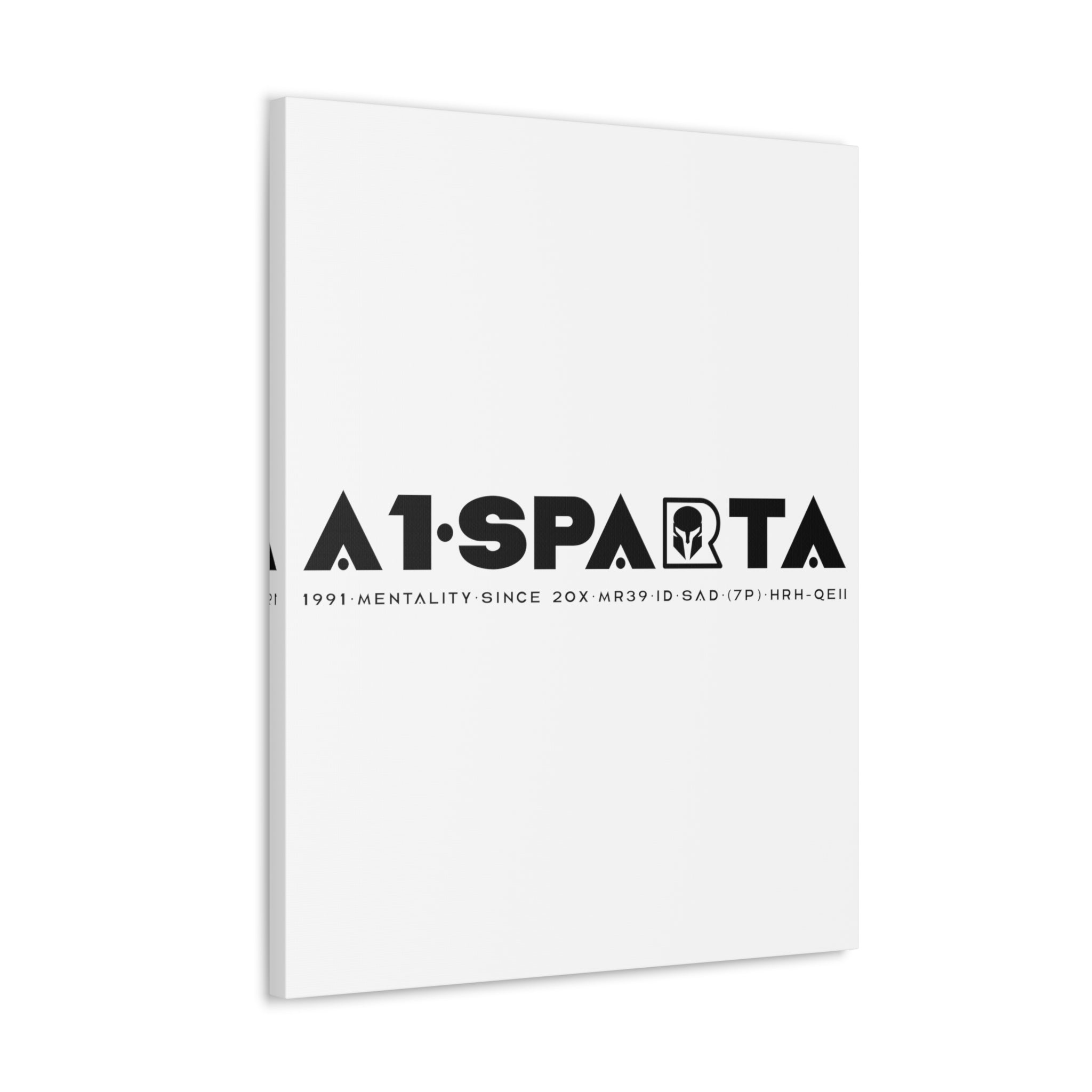 Canvas Gallery Wraps (A1•SPARTA RANGE)