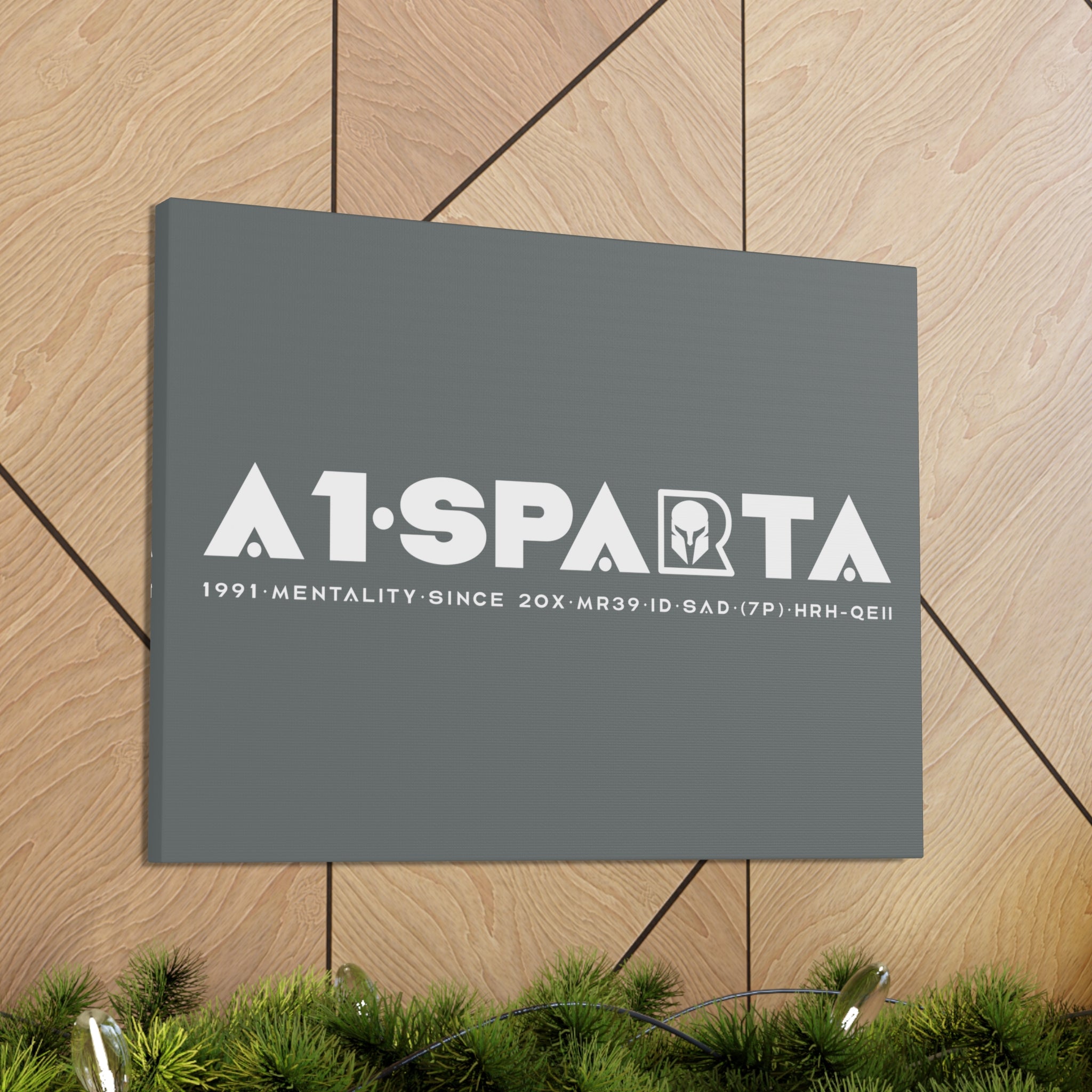 Canvas Gallery Wraps (A1•SPARTA RANGE)