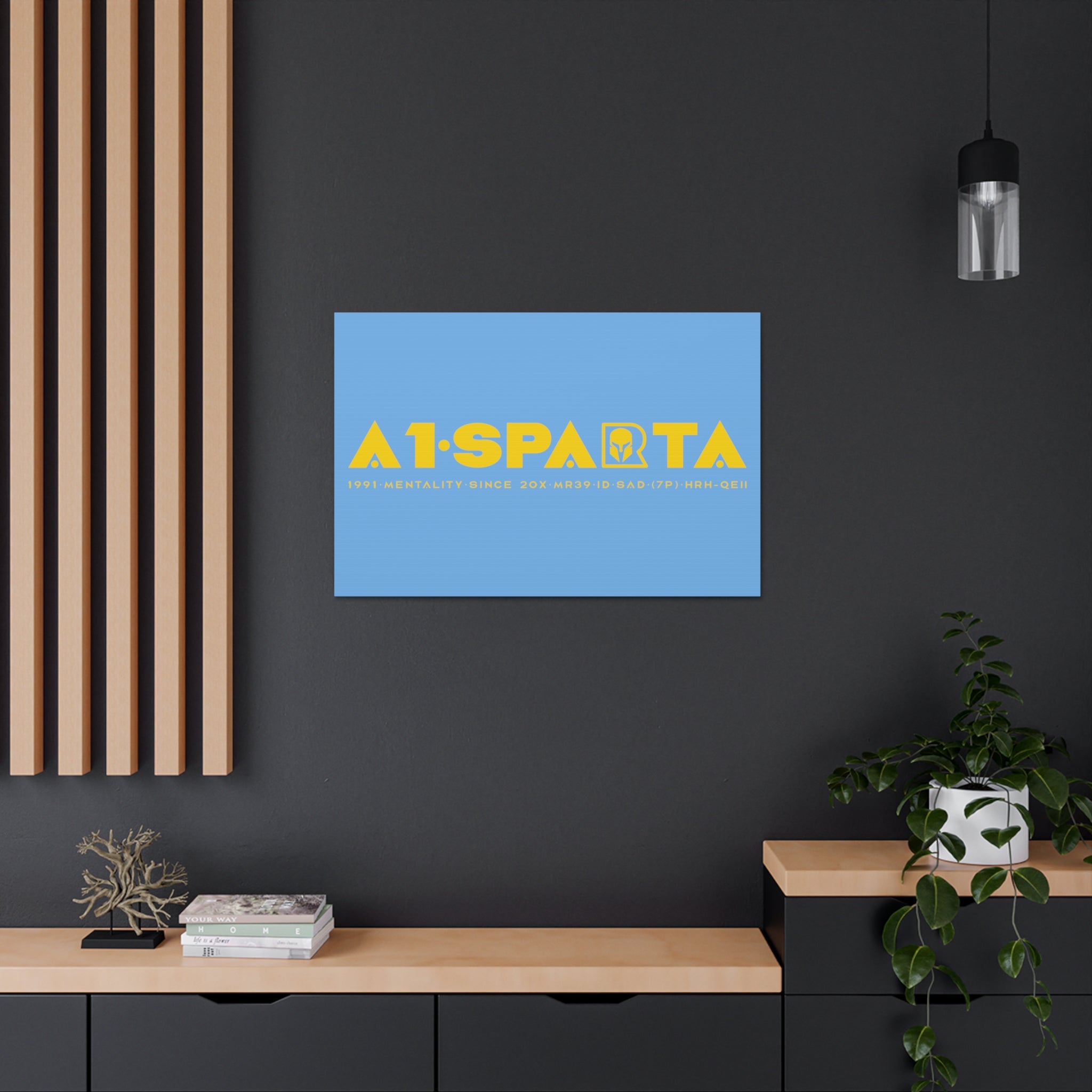Canvas Gallery Wraps (A1•SPARTA RANGE)