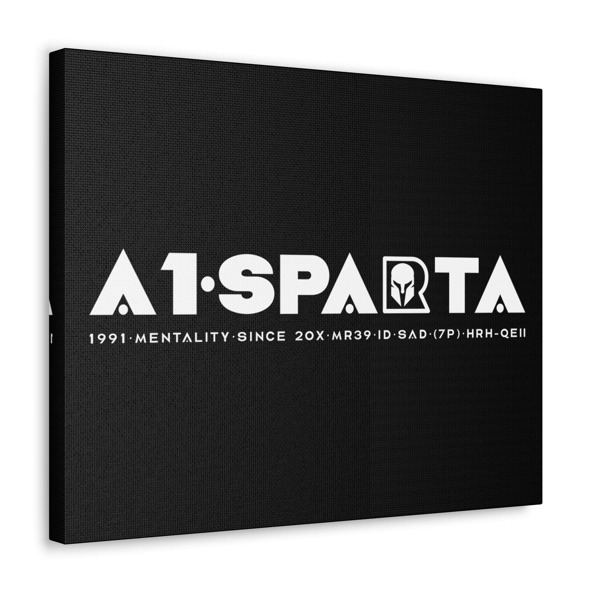 Canvas Gallery Wraps (A1•SPARTA RANGE)
