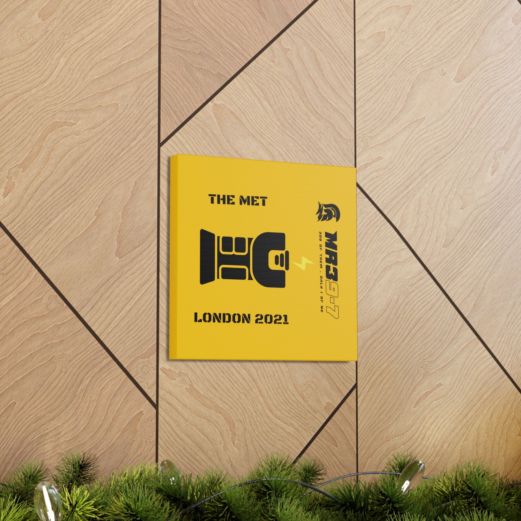 Canvas Gallery Wraps MR 39 Tasered by THe MET 2021