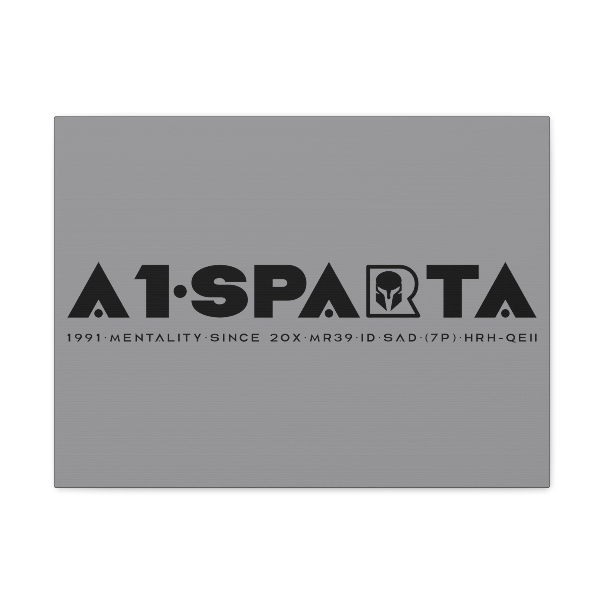 Canvas Gallery Wraps (A1•SPARTA RANGE)