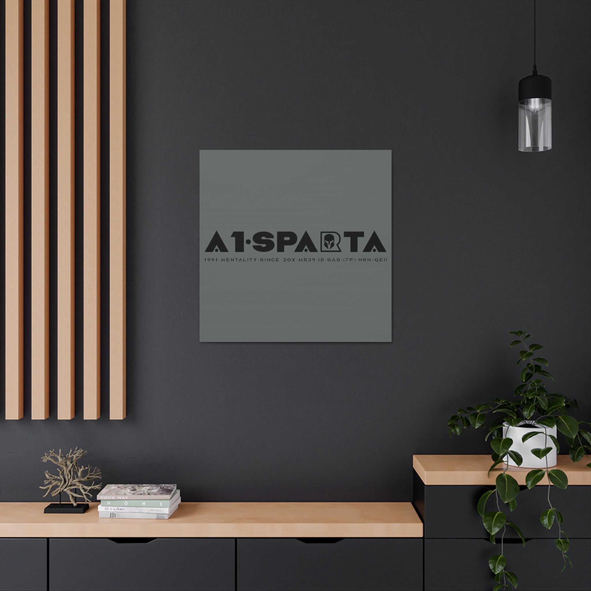 Canvas Gallery Wraps (A1•SPARTA RANGE)