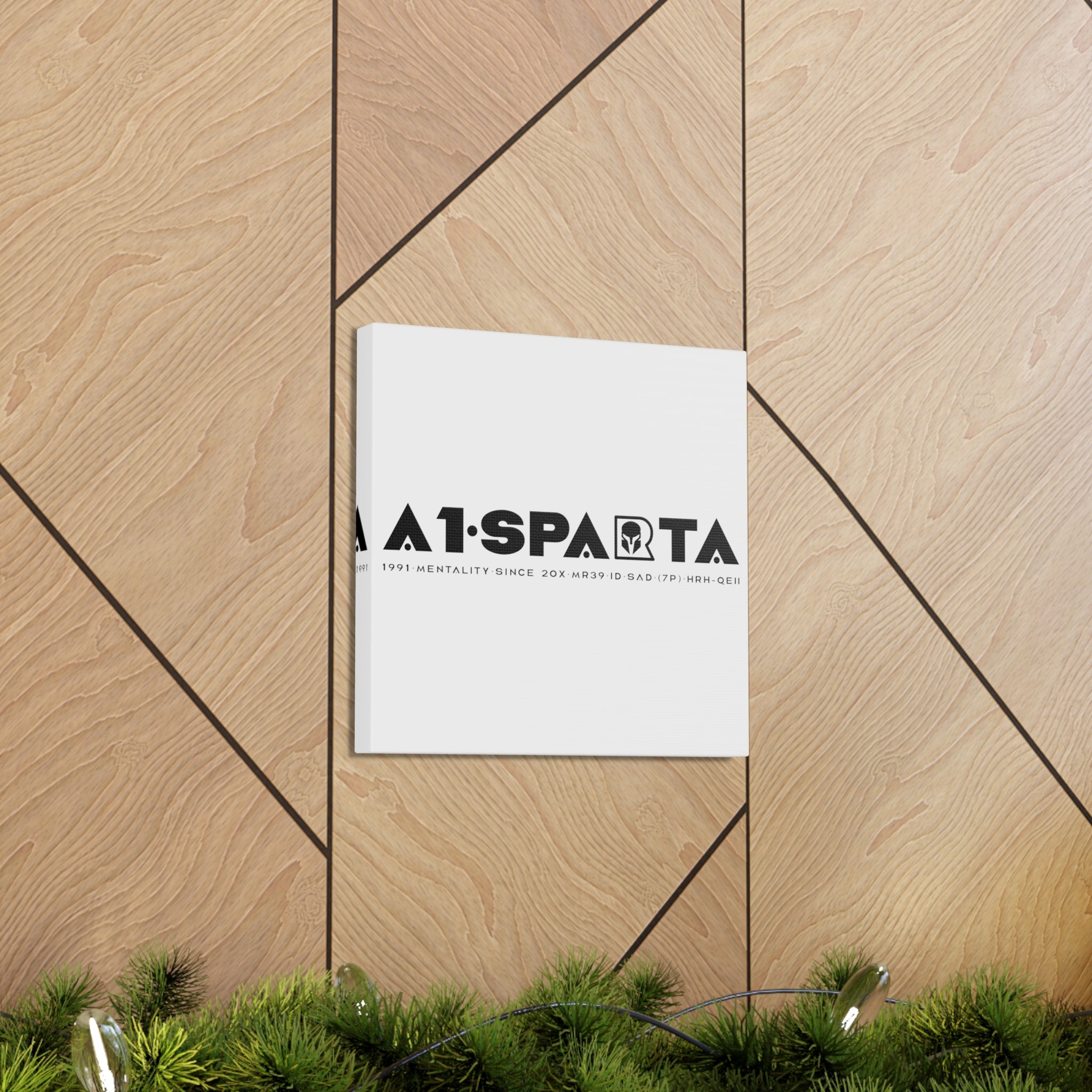 Canvas Gallery Wraps (A1•SPARTA RANGE)