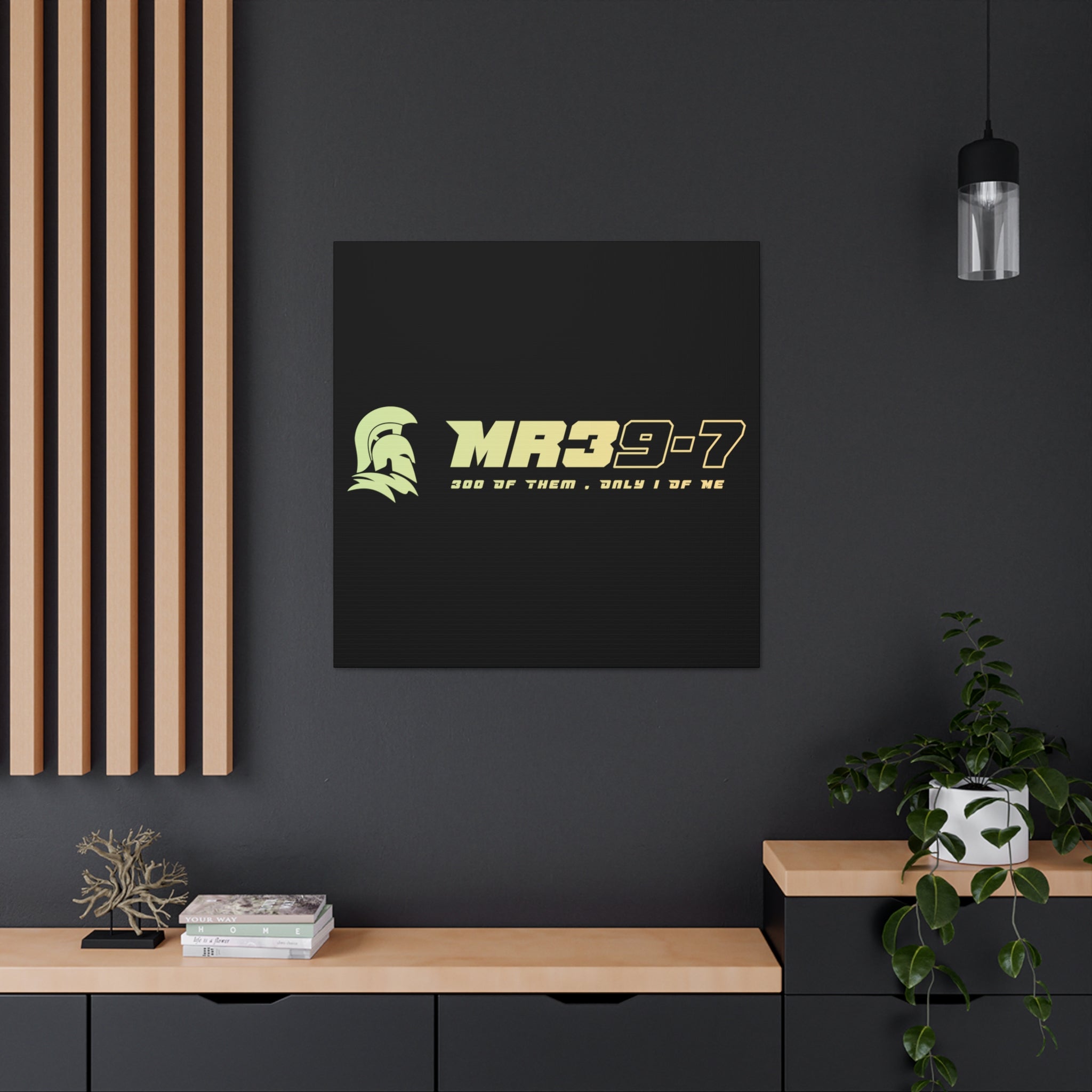 Canvas Gallery Wraps (A1•SPARTA RANGE)