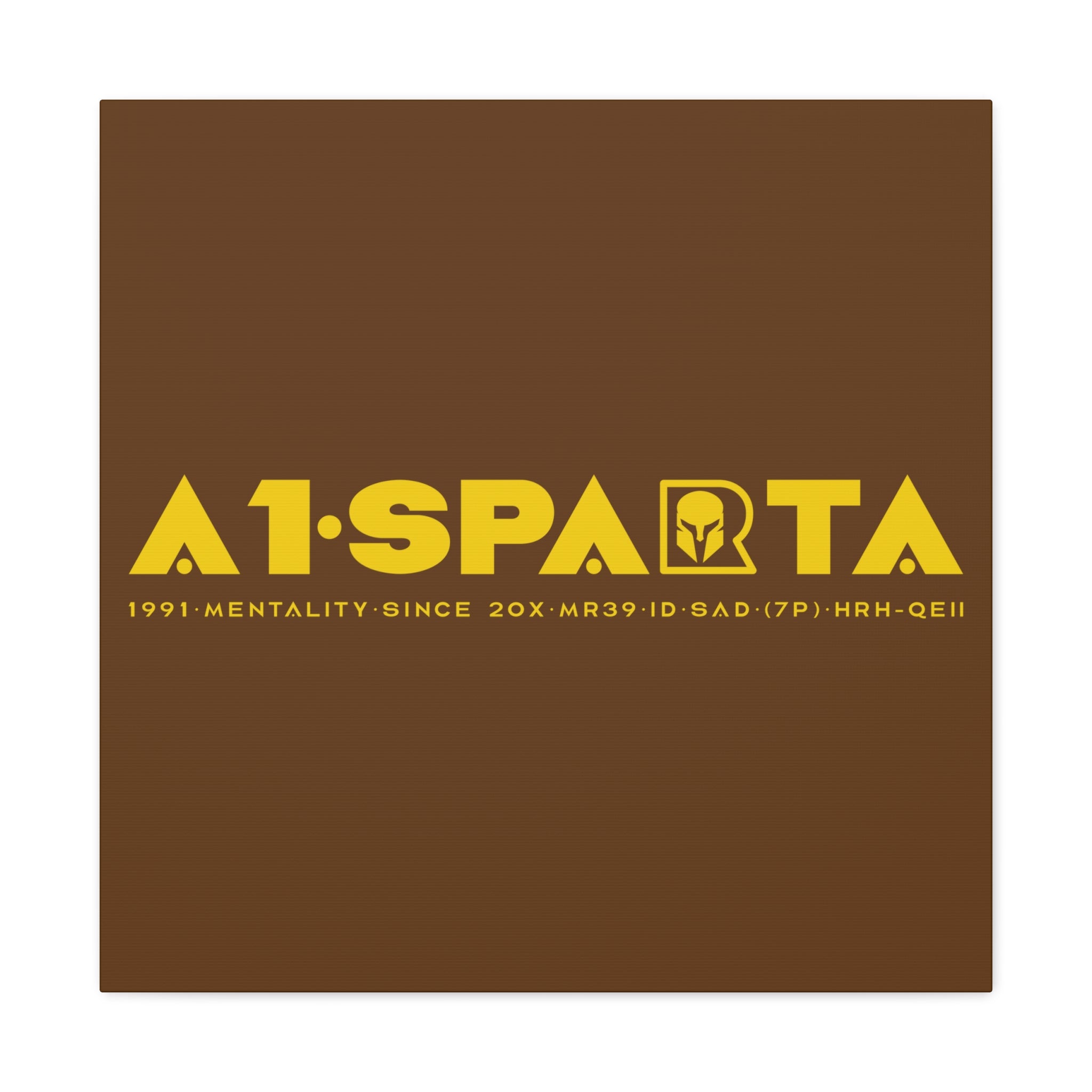 Canvas Gallery Wraps (A1•SPARTA RANGE)