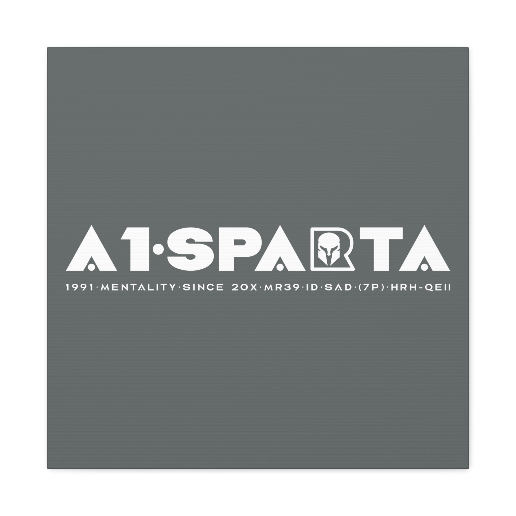 Canvas Gallery Wraps (A1•SPARTA RANGE)