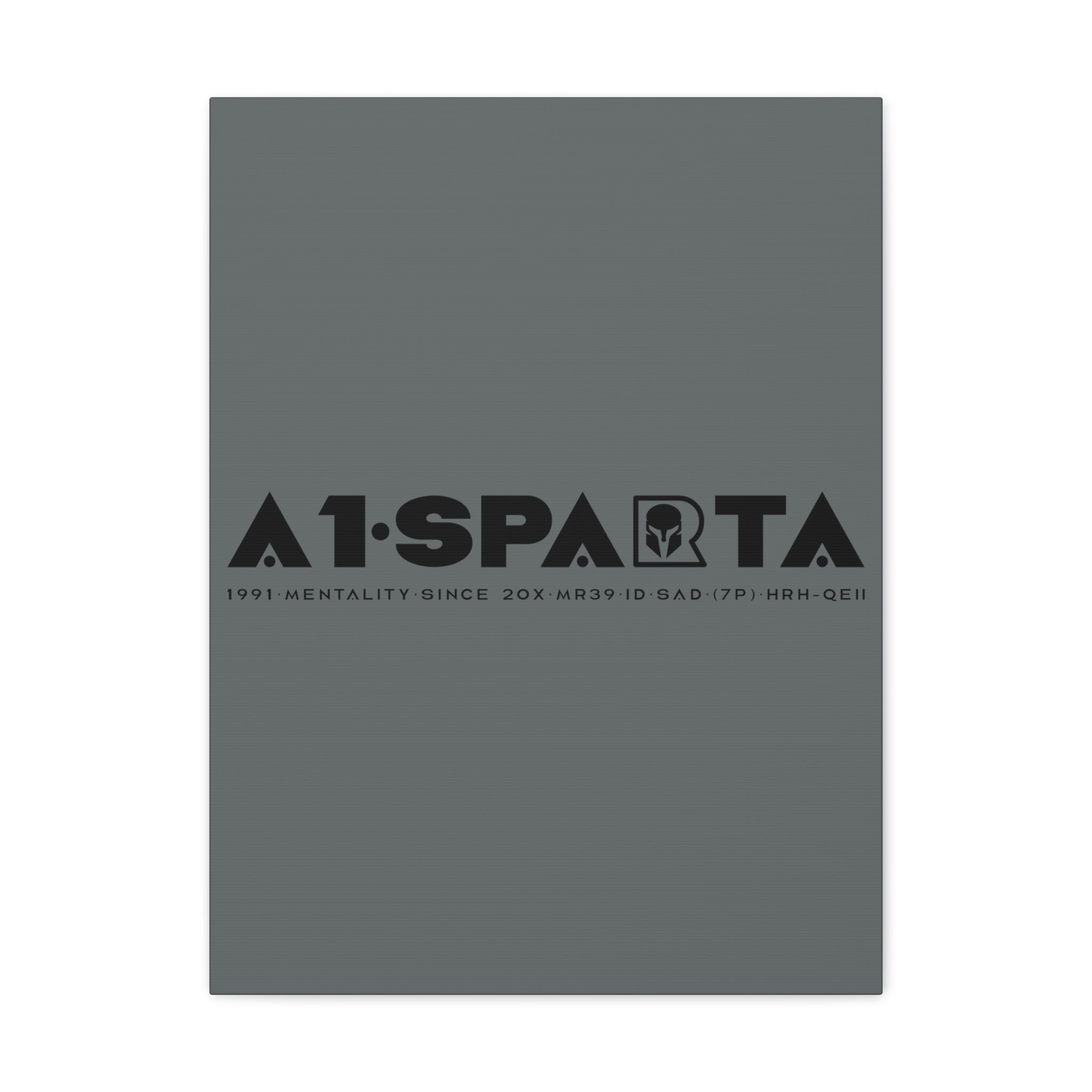 Canvas Gallery Wraps (A1•SPARTA RANGE)