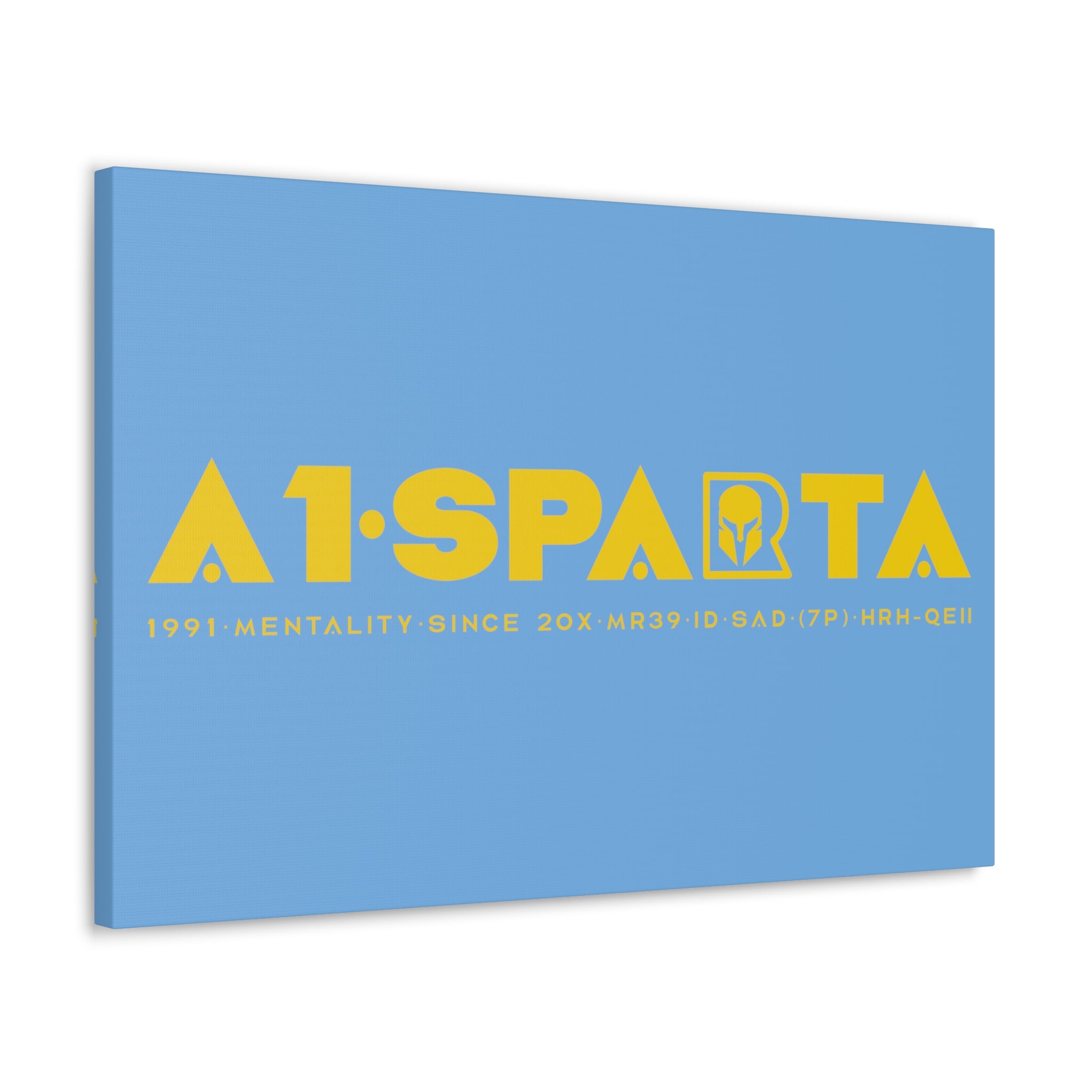 Canvas Gallery Wraps (A1•SPARTA RANGE)