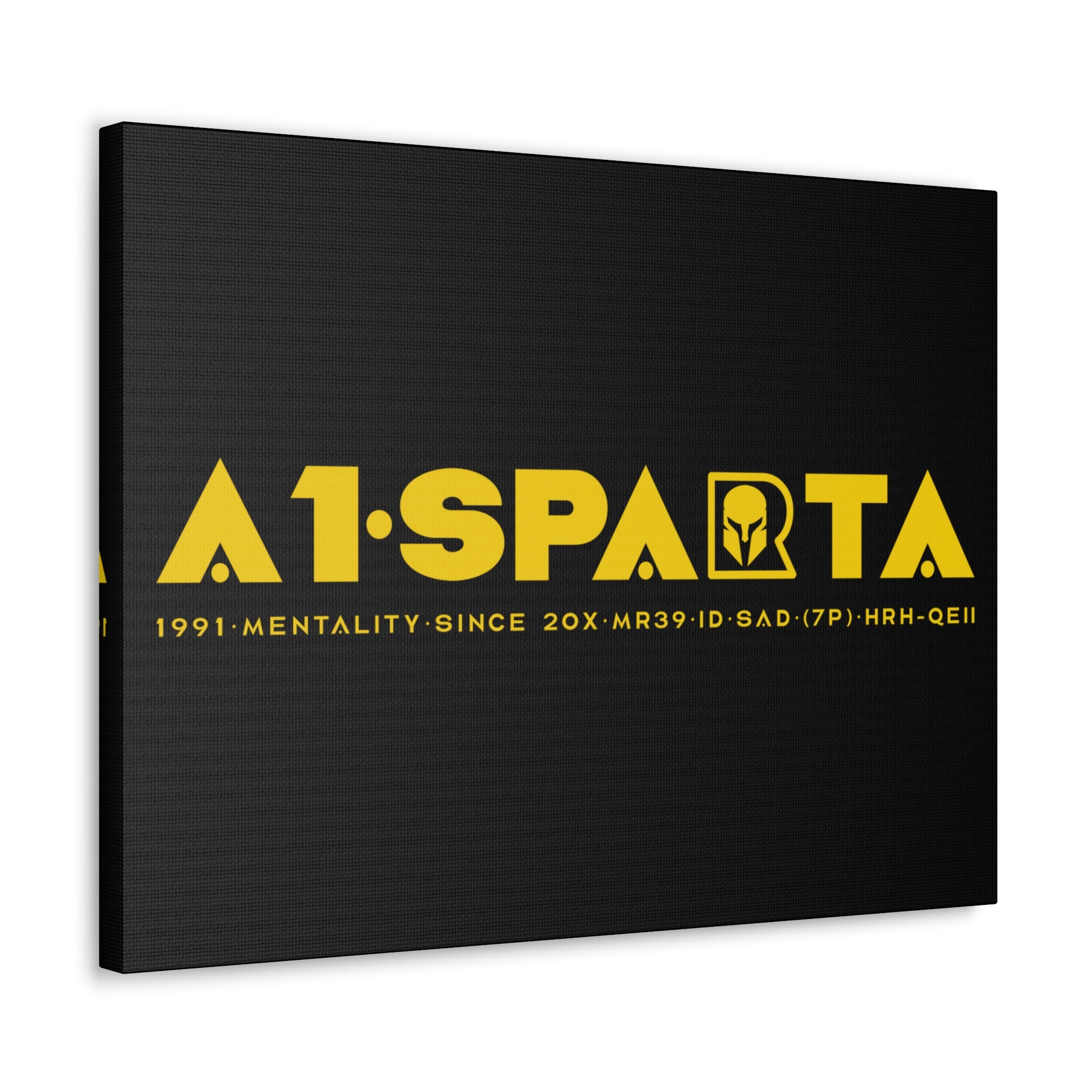 Canvas Gallery Wraps (A1•SPARTA RANGE)