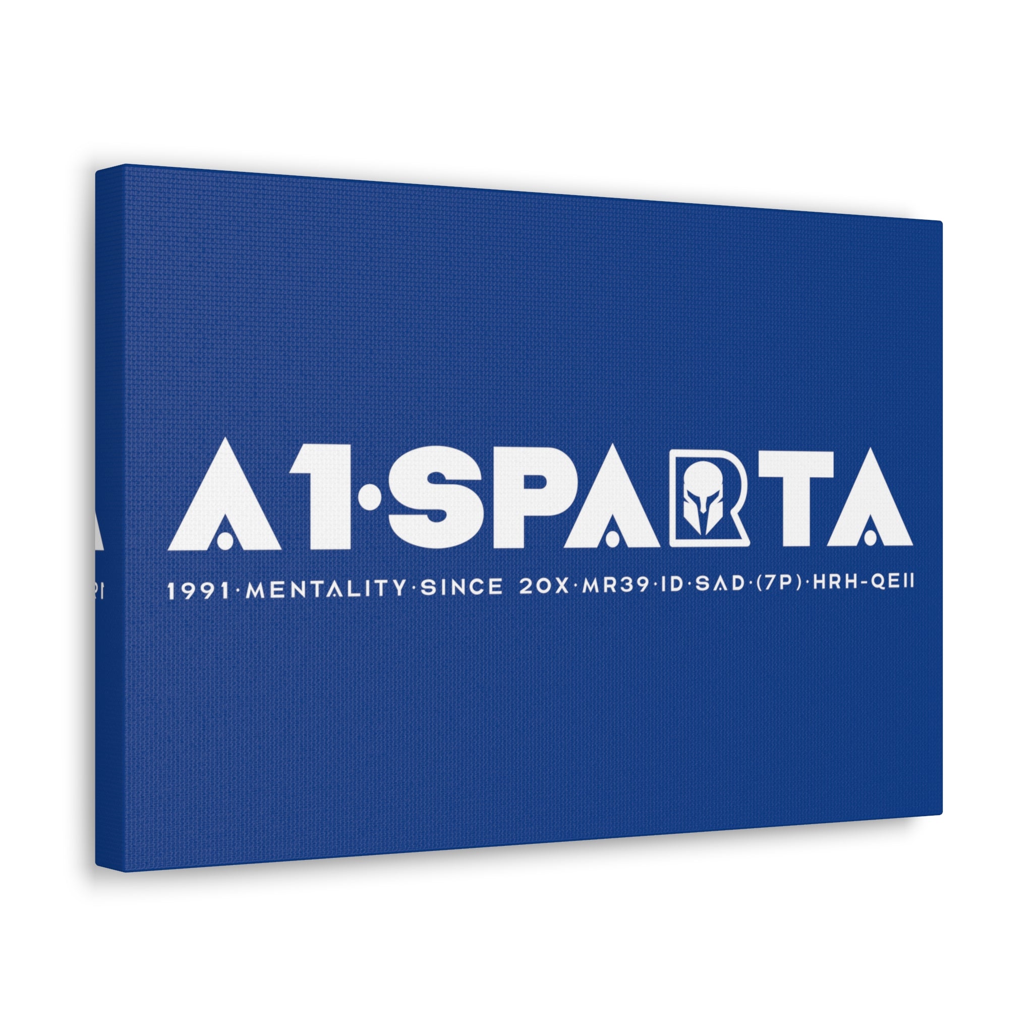 Canvas Gallery Wraps (A1•SPARTA RANGE)