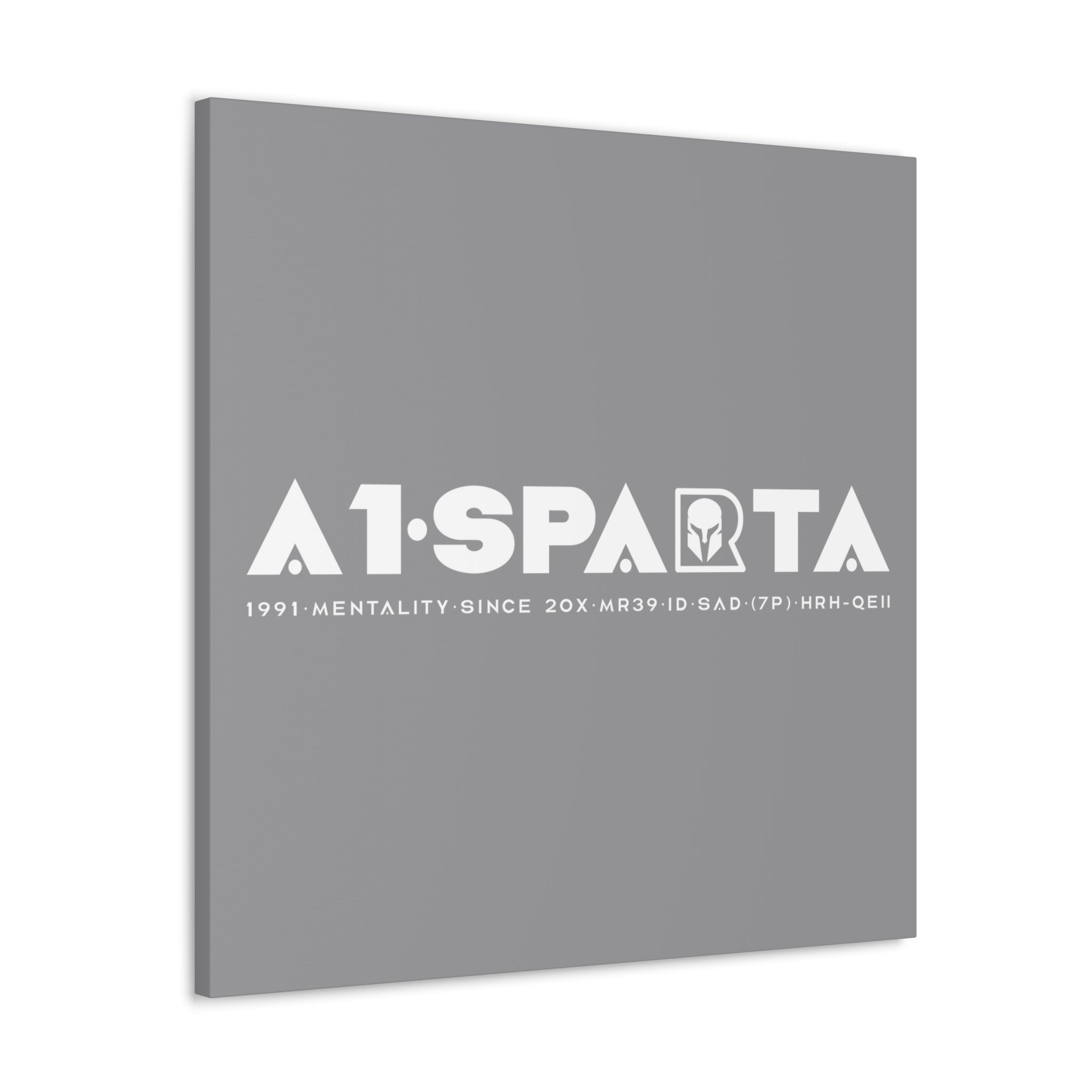 Canvas Gallery Wraps (A1•SPARTA RANGE)