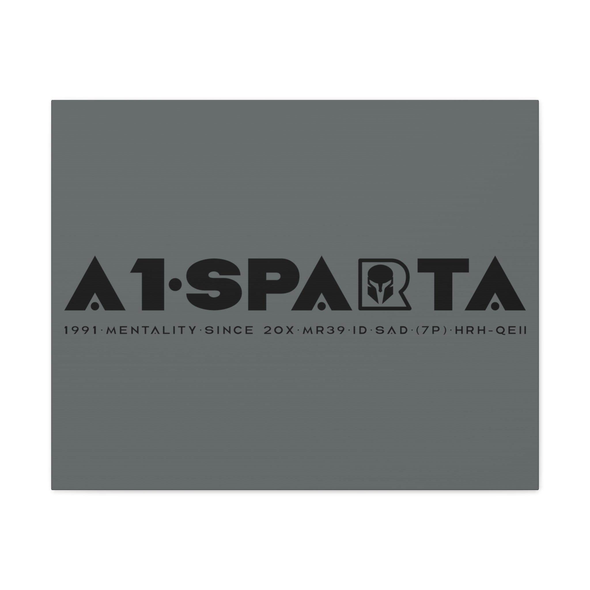 Canvas Gallery Wraps (A1•SPARTA RANGE)