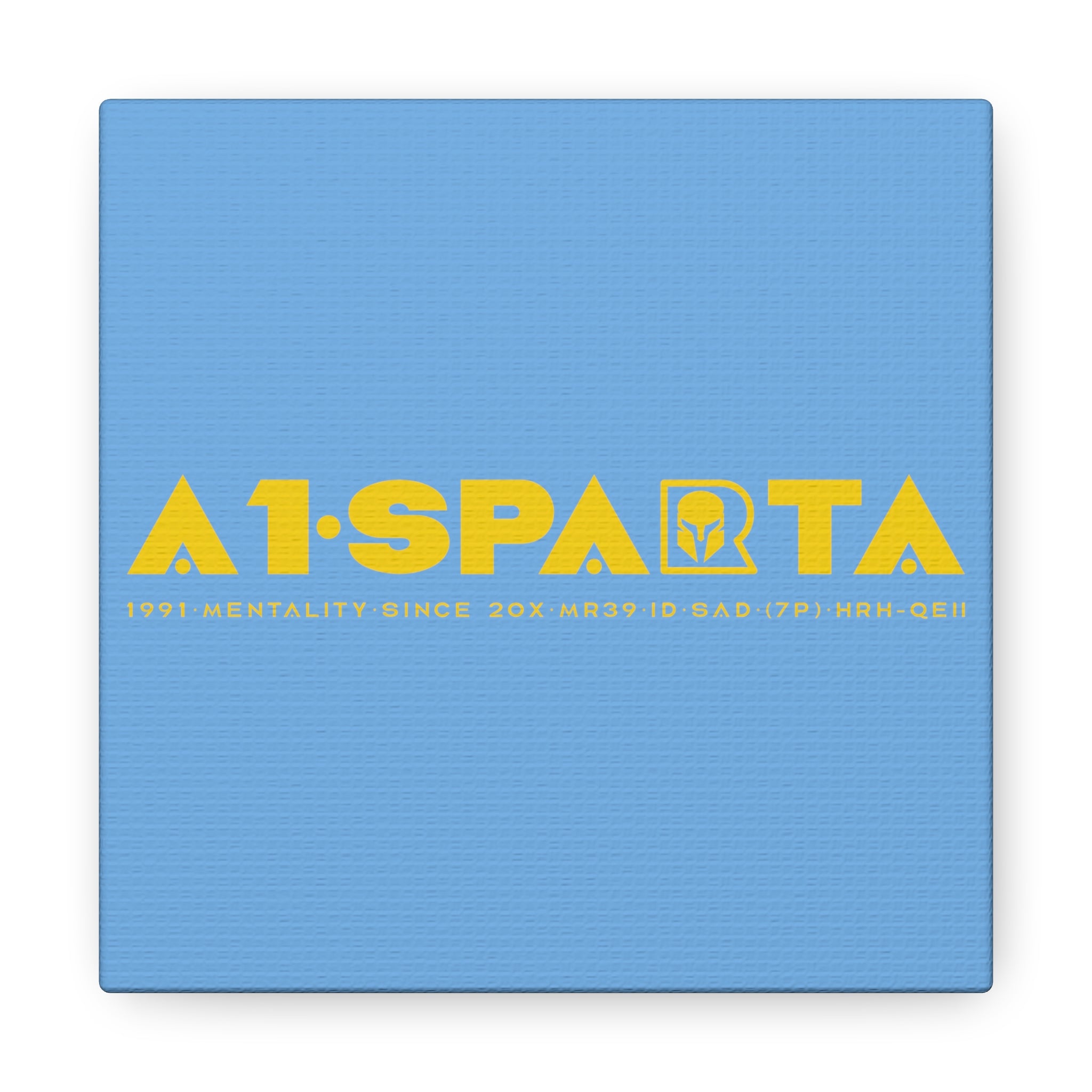 Canvas Gallery Wraps (A1•SPARTA RANGE)